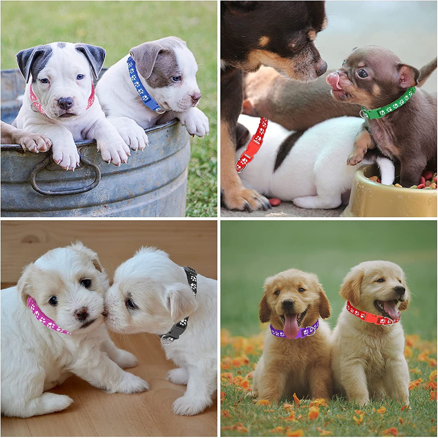 Chenkaiyang 12 Pack Puppy Collars For Litter, Adjustable Puppy Id Collars Soft Nylon Whelping Collars For Newborn Litter Puppy Pets