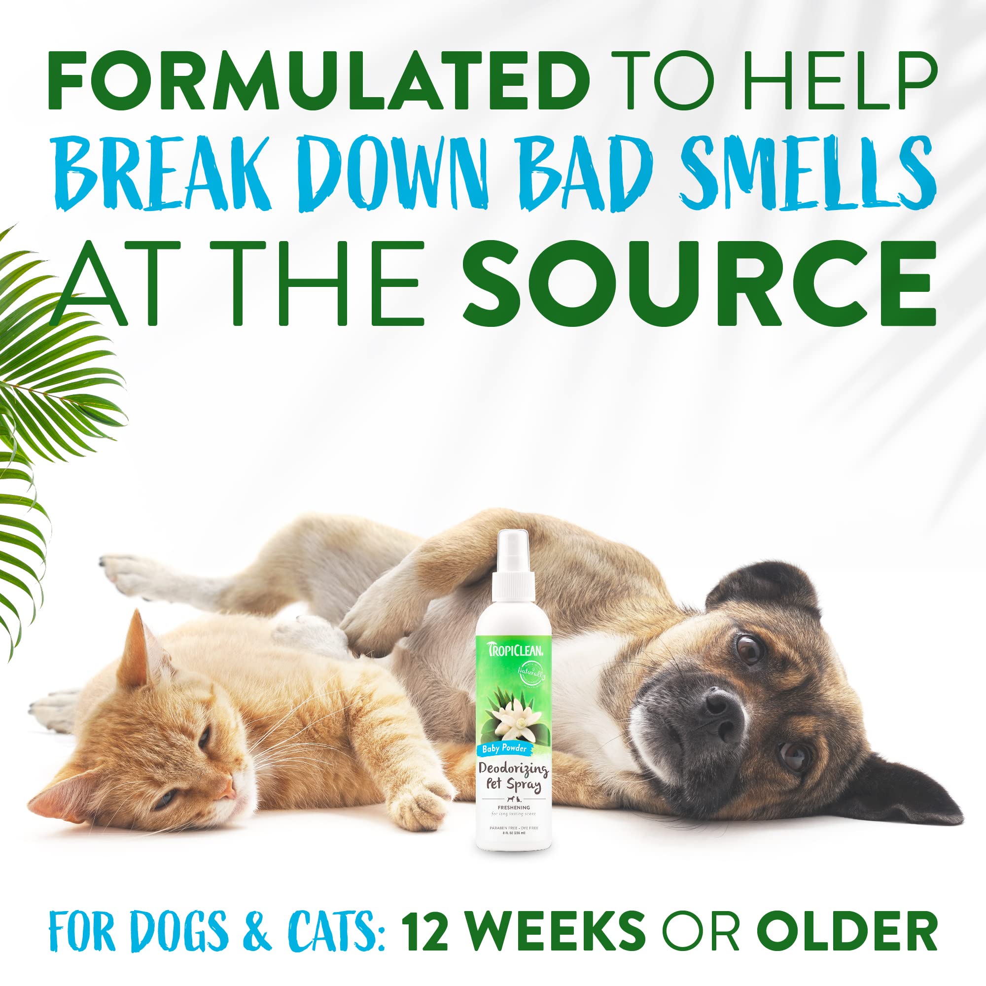 Tropiclean Baby Powder Dog Perfume Spray Long Lasting | Naturally Derived Odor Removing Dog Deodorizing Spray | Cat Friendly | Made In Usa | 8 Oz