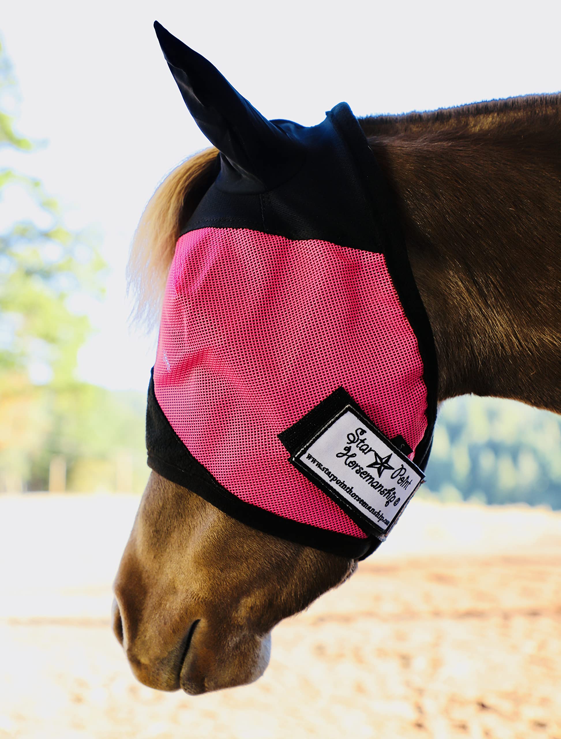 Miniature Horse Ear Cover Fly Mask (Medium 33-38, Raspberry/Black)