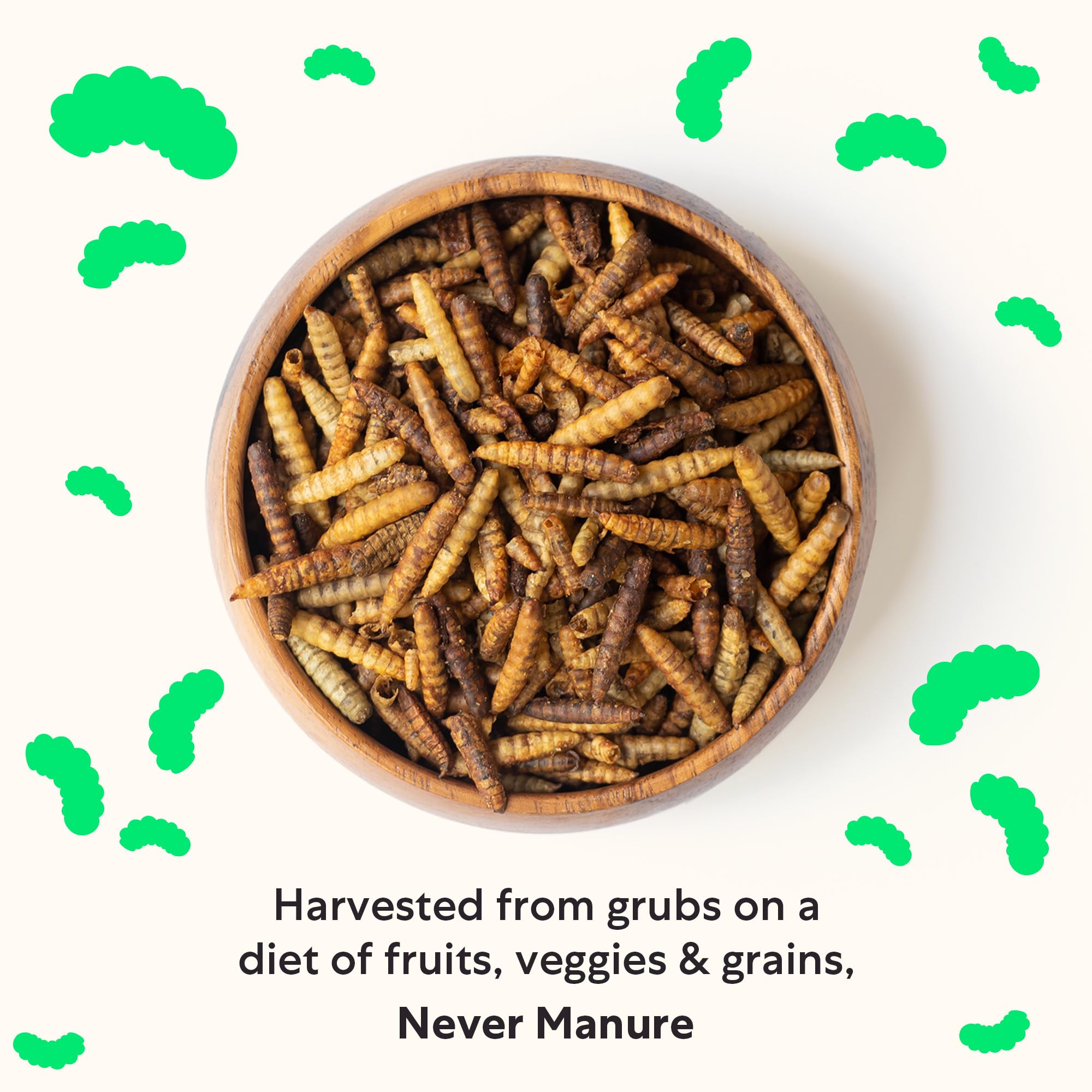 Grubblies - Black Soldier Fly Larvae for Chickens - Chicken Treats Grown in The US and Canada - for Strong Eggshells and Healthy