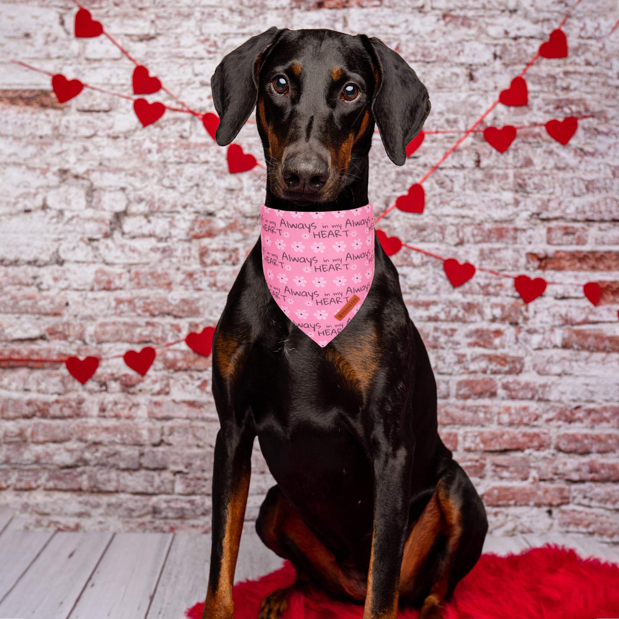 ADOGGYGO Valentine Dog Bandanas, Heart Love Floral Pet Scarf, Multi Size Offered, Pink Blue Pet Valentine Bandana for Large and