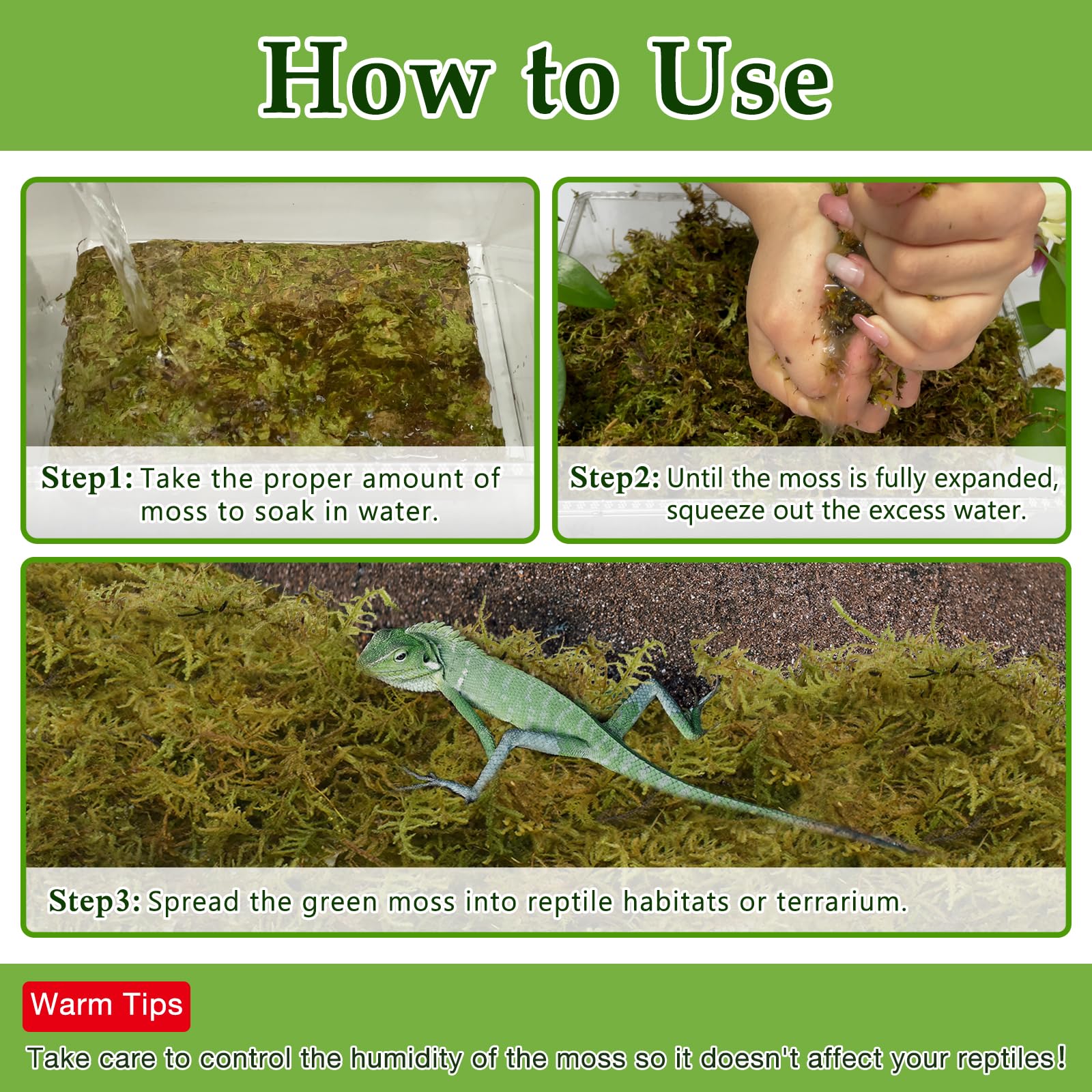 Halatool 2.5Lb Natural Sphagnum Moss For Reptiles- 60Qt Green Live Moss For Terrarium Plants Long Fiber Reptile Moss For Leopard