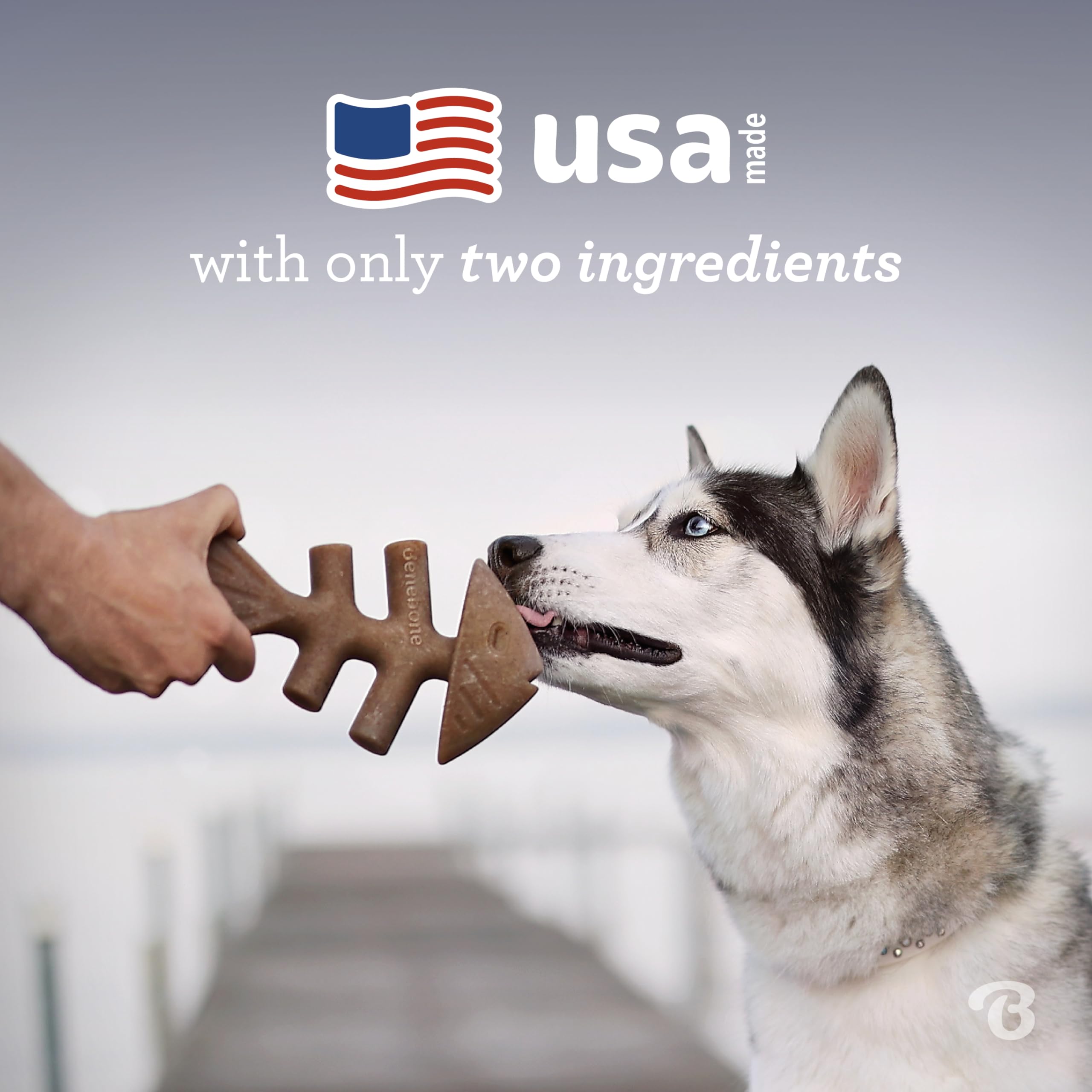 Benebone Tiny 2-Pack Fishbone Durable Dog Chew Toys, Real Fish Flavor, Made In Usa