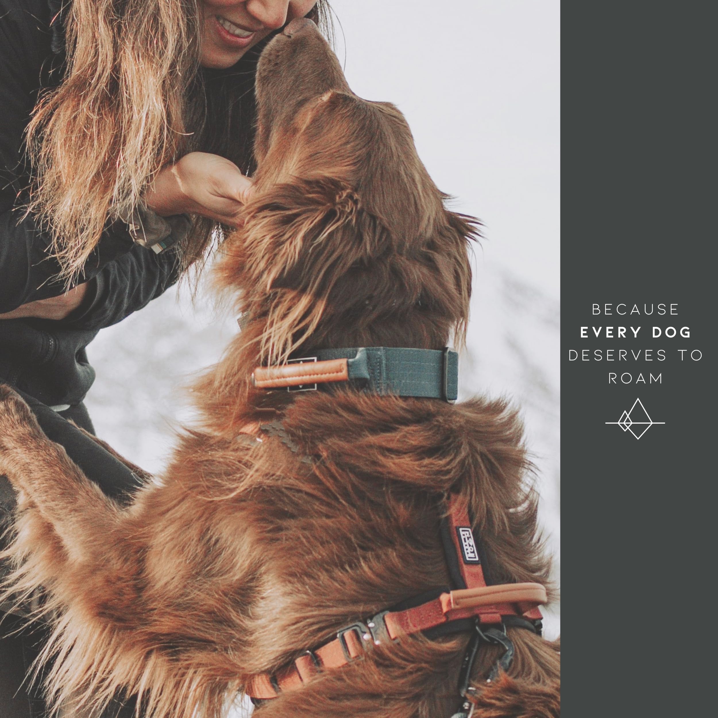 ROAM Premium Dog Collar - Adjustable Nylon with Quick-Release Metal Buckle, Classic Size 5, Oregon Haze