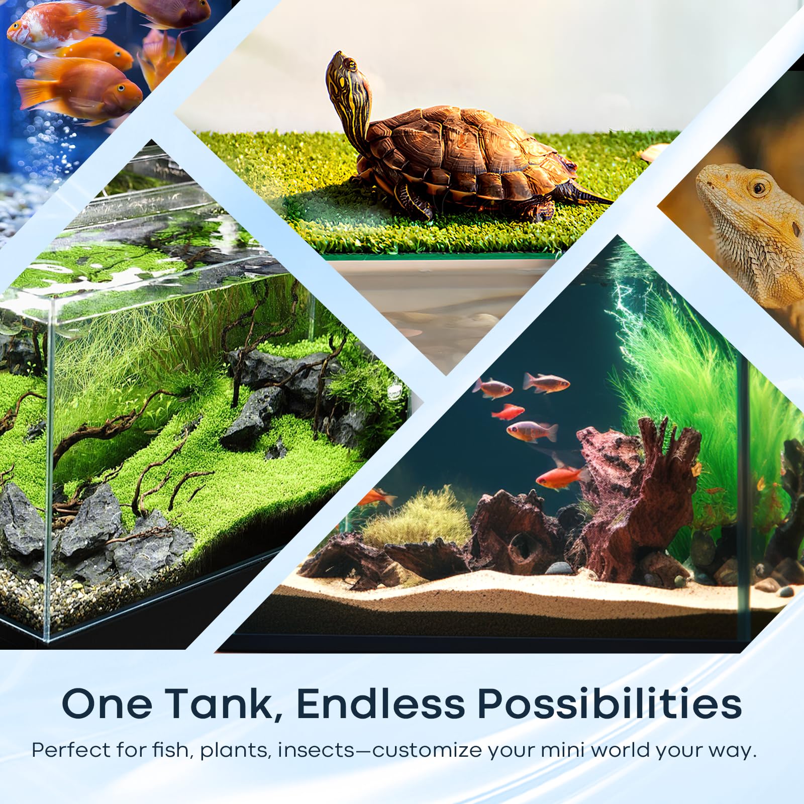3 Gallon Glass Fish Tank Cube, Small Aquarium Fish Bowl for Betta Goldfish Snails Shrimp Aquatic Planting, Easy to Maintain Ultr