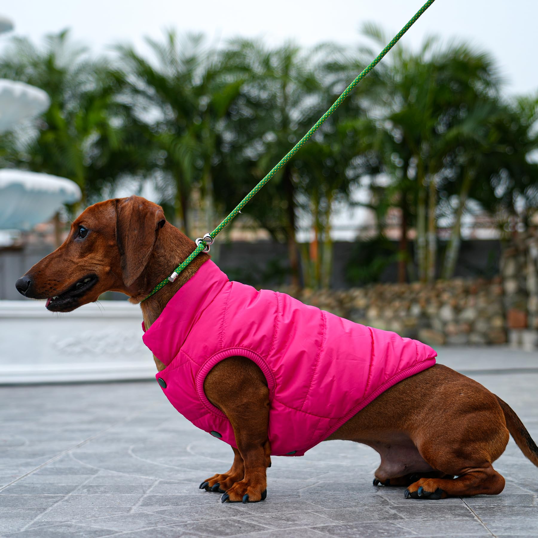 Joydaog 2 Layers Fleece Lined Warm Dog Jacket For Winter Cold Weather,Soft Windproof Large Dog Coat,Pink Xxxl