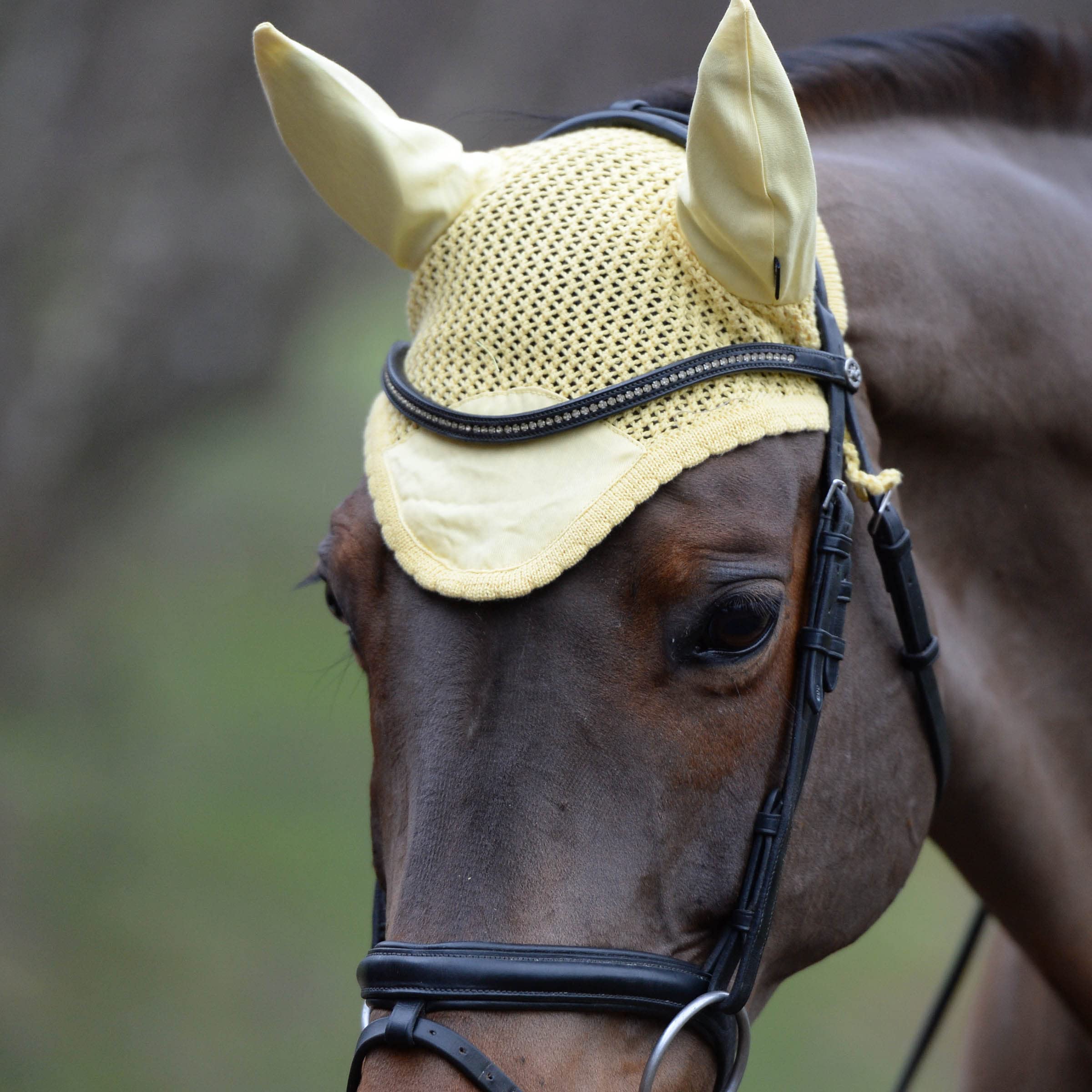 WeatherBeeta Prime Ear Bonnet, Purple Penant, Full