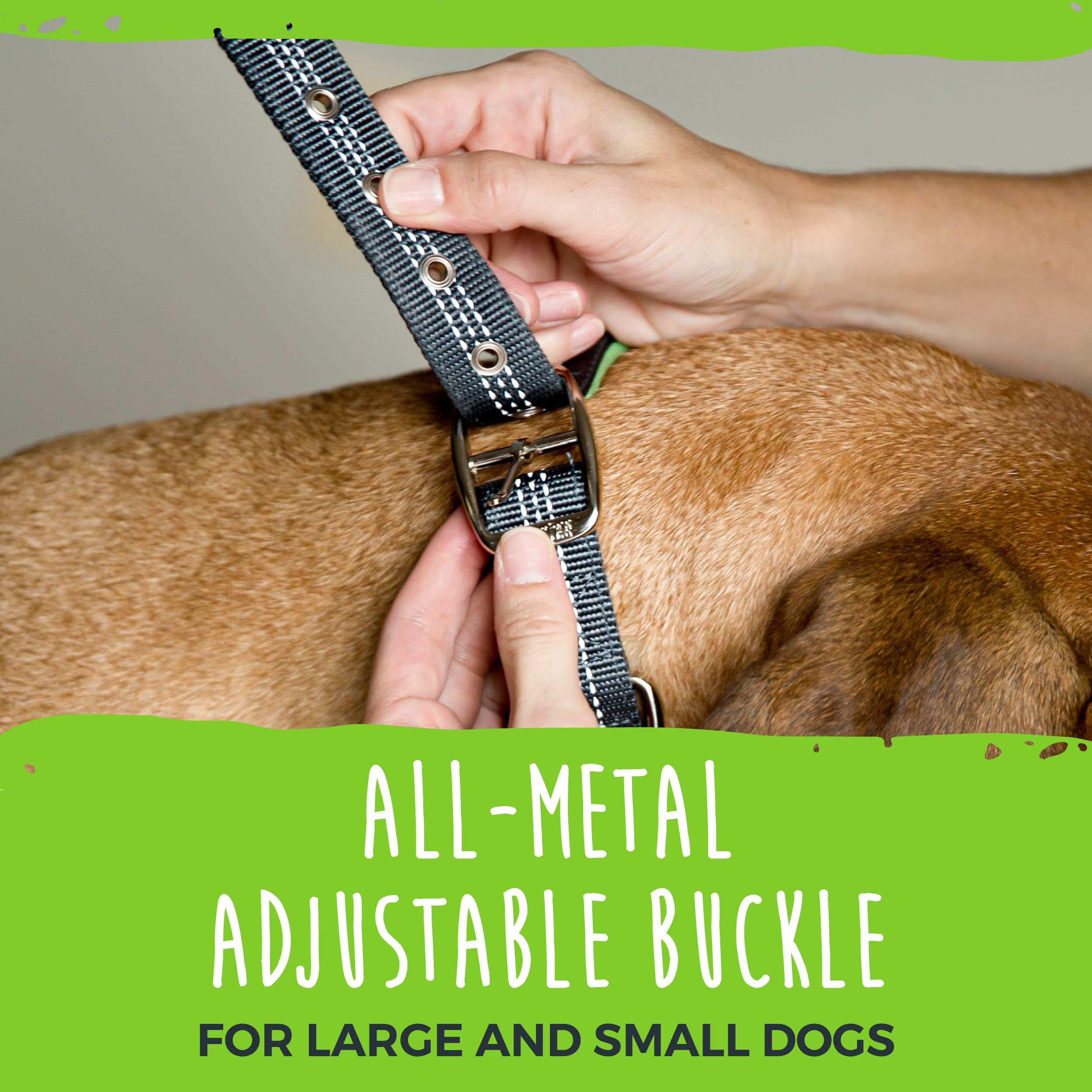 Mighty Paw Ultra Soft Dog Collar - All-Metal Adjustable Buckle For Large And Small Dogs - Super Soft Neoprene Padding For Ultima
