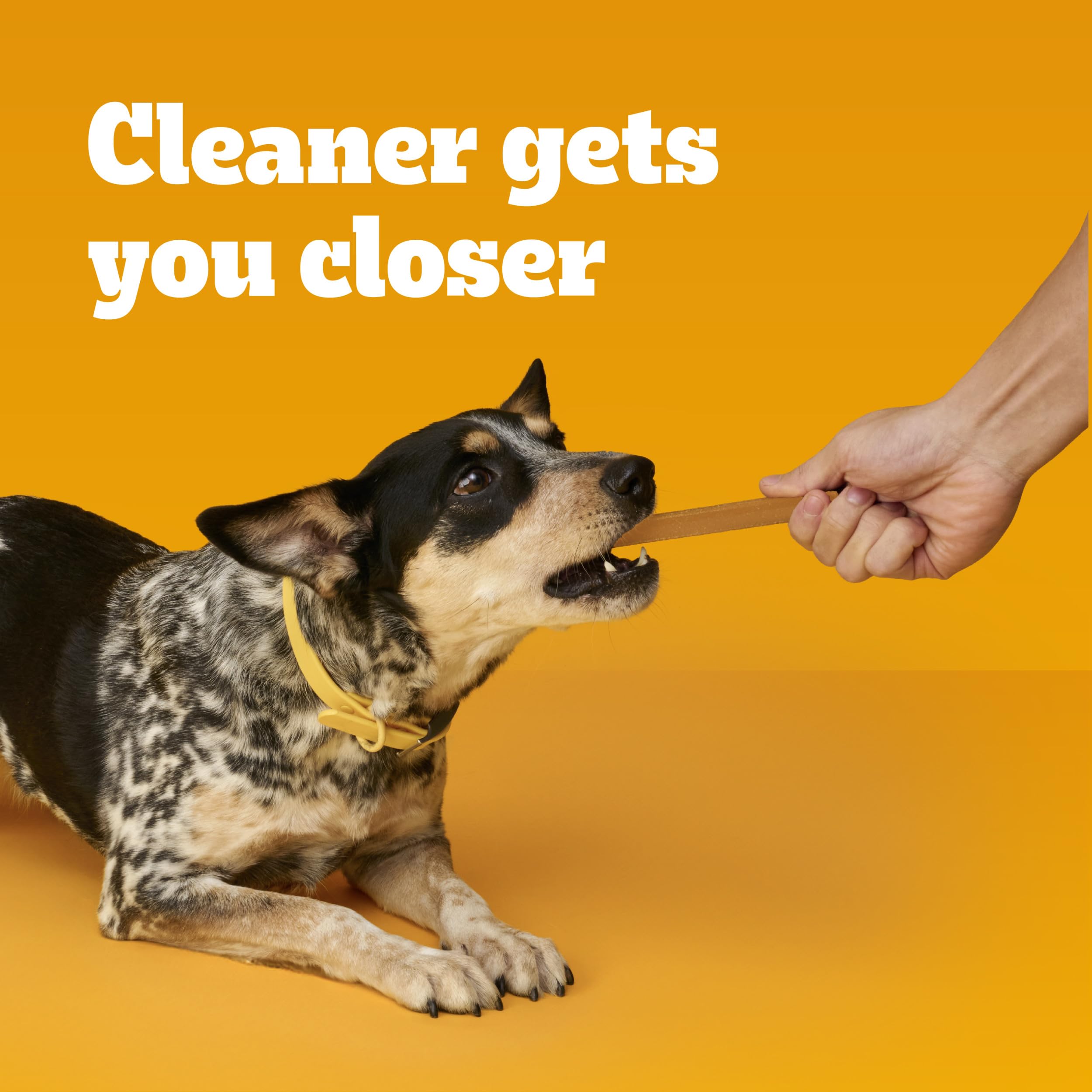 PEDIGREE DENTASTIX Small/Medium Dog Dental Treats Original Flavor Dental Bones, 1.57 lb. Value Pack (45 Treats)