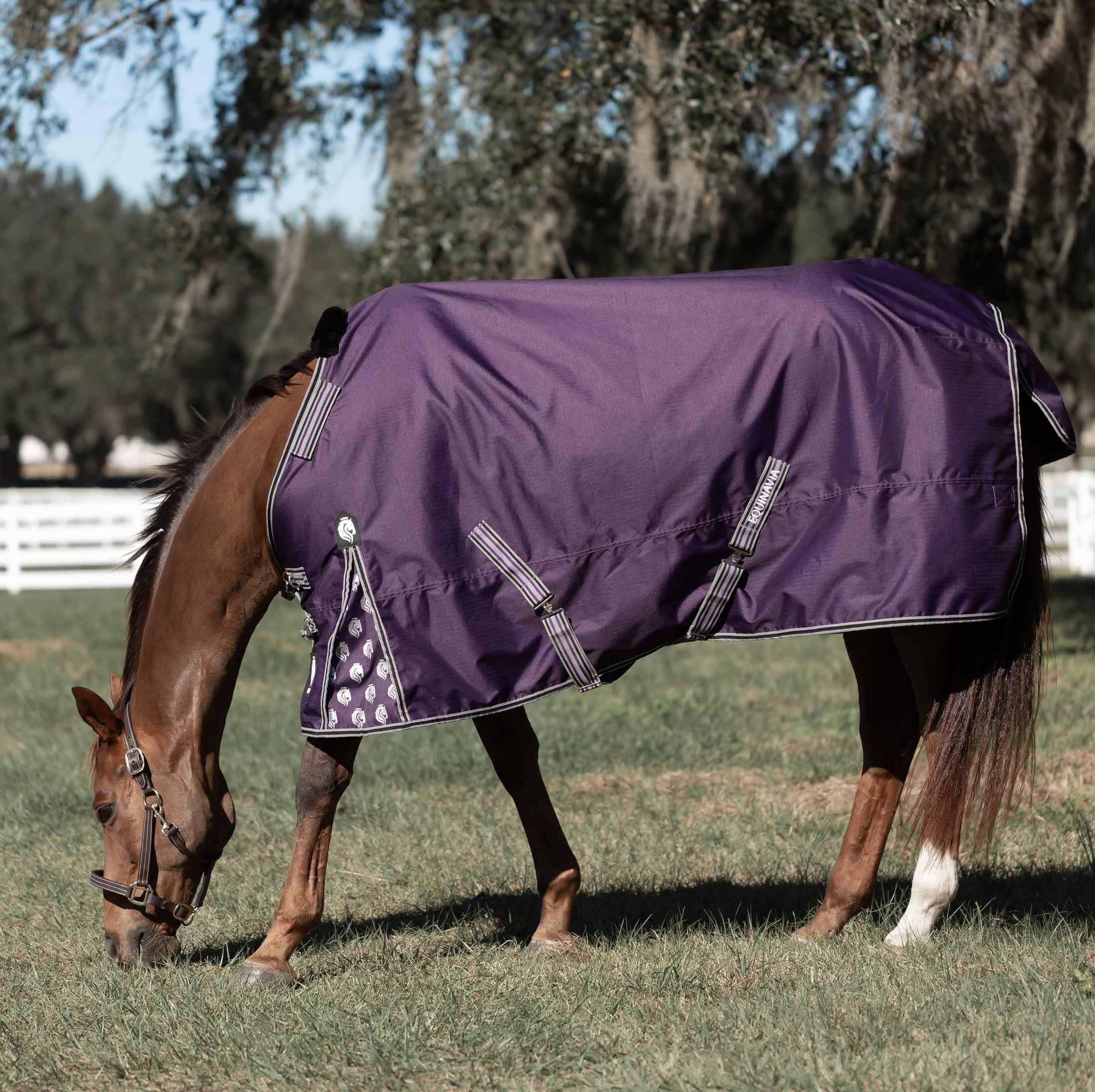 Equinavia Norse No Fill Horse Rain Blanket (0g) | Waterproof Lightweight Turnout Sheet - Black - 66 in - Grape Purple - 72 in