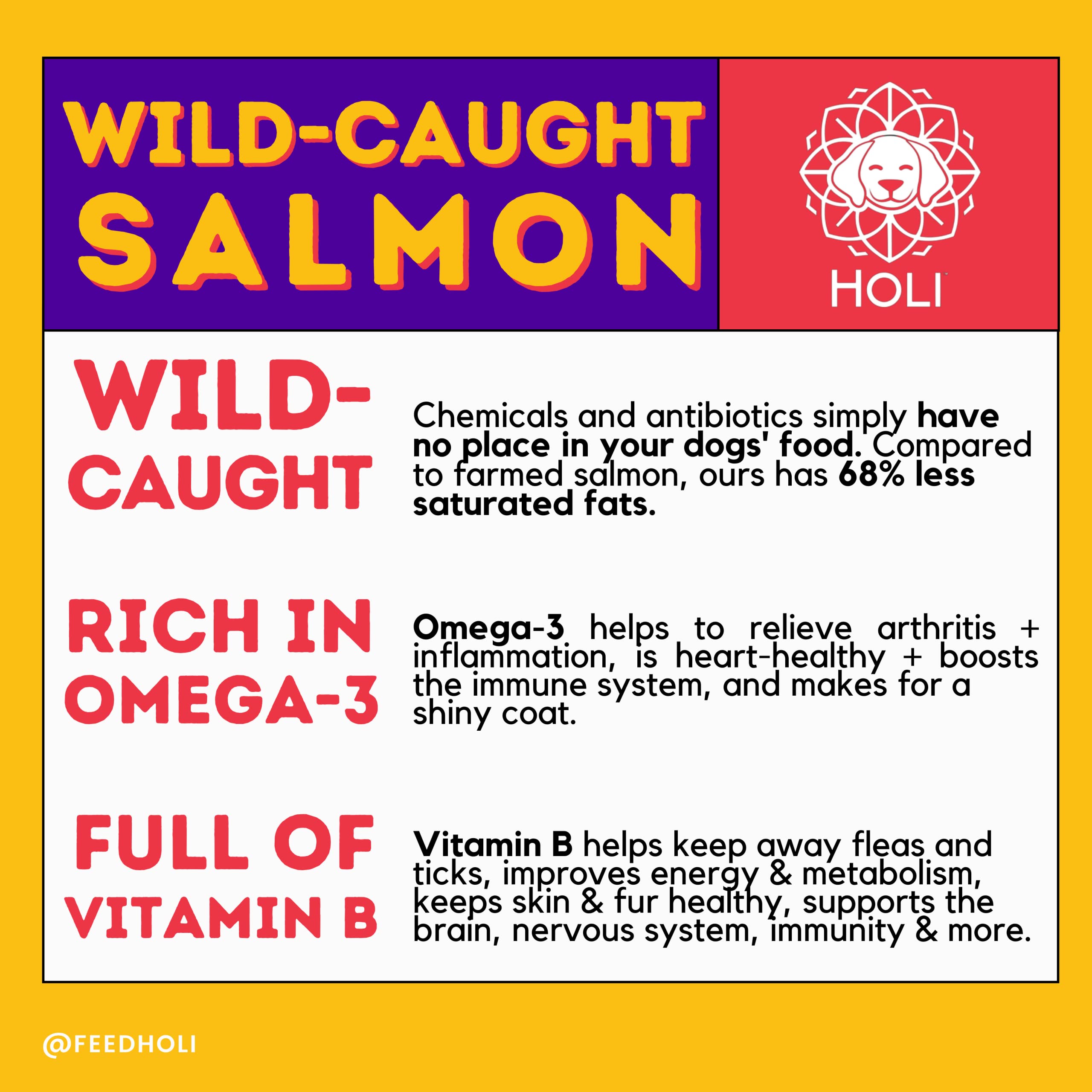 HOLI Freeze Dried Salmon Dog Treats - with Omega 3 and 6 Fish Oil - All Natural Dog Treats - Human Grade - Wild Caught Skin on S