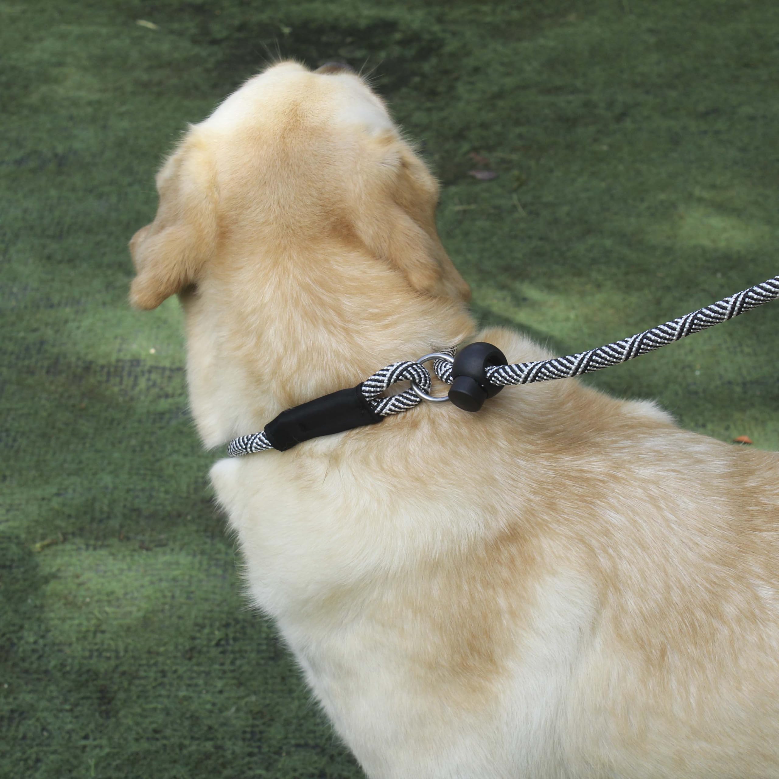Hiado Slip Lead Dog Leash With Stopper Loop Rope Training No Pull For Small Medium Large Dogs 5Ft Black White