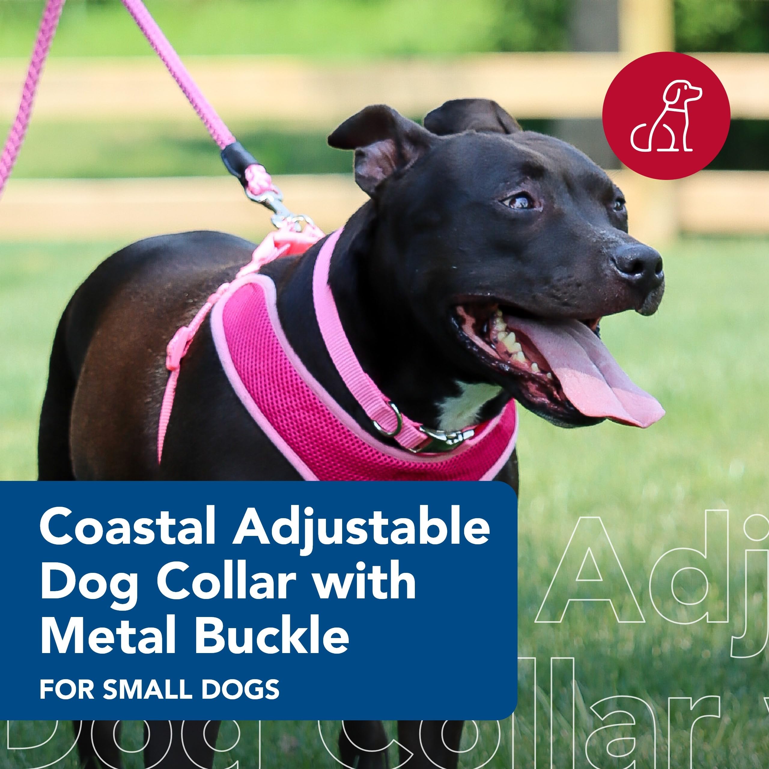 Coastal Pet Adjustable Dog Collar With Metal Buckle - Comfortable Fade-Resistant Dog Collar With Snap Lock - Perfect For Walking & Tie Outs -Pink Bright - 1' X 18' - 26'