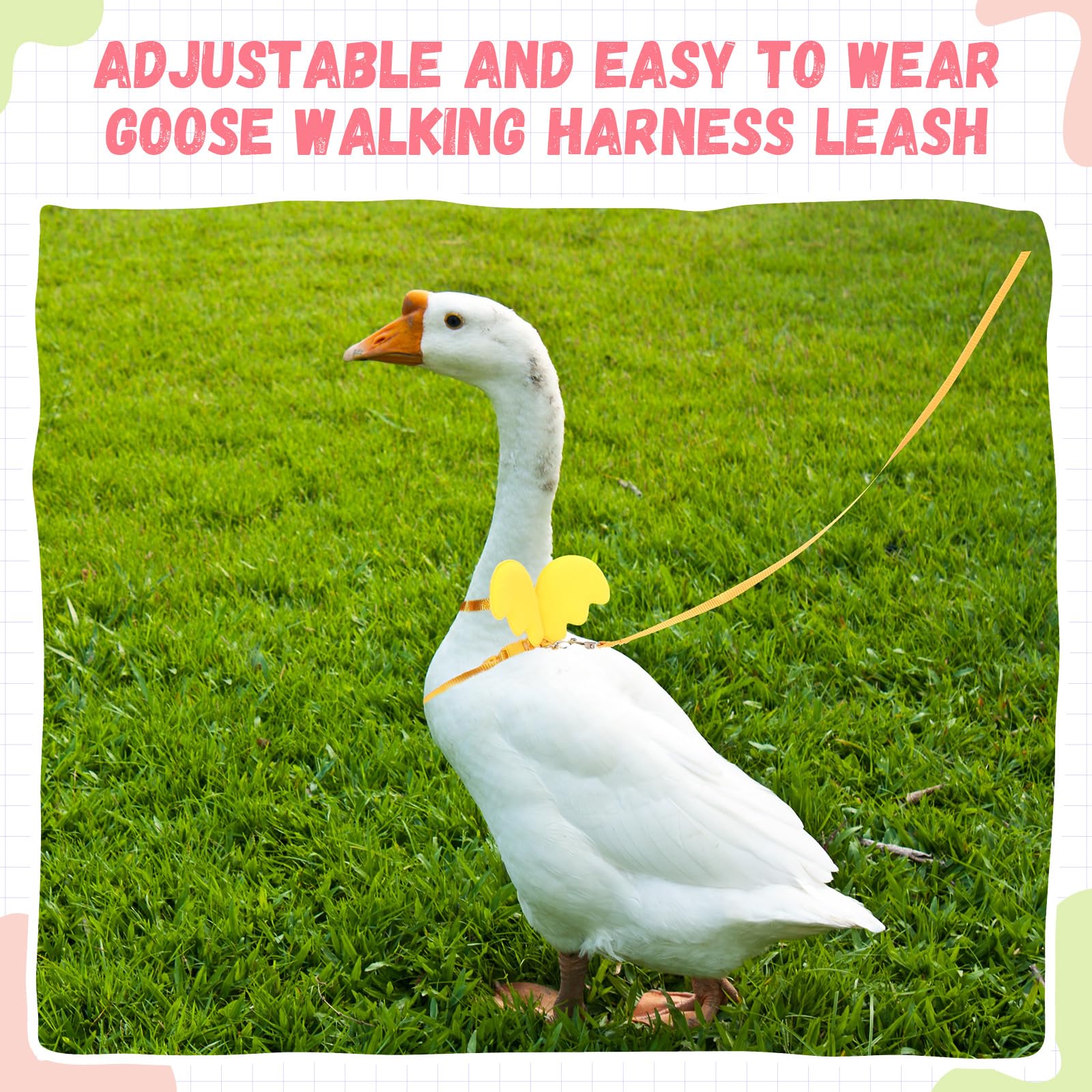 SATINIOR 3 Pack Harness and Leash for Real Ducks, Funny Goose Accessories, Soft and Adjustable Outside Walking Harness Leash, Ou