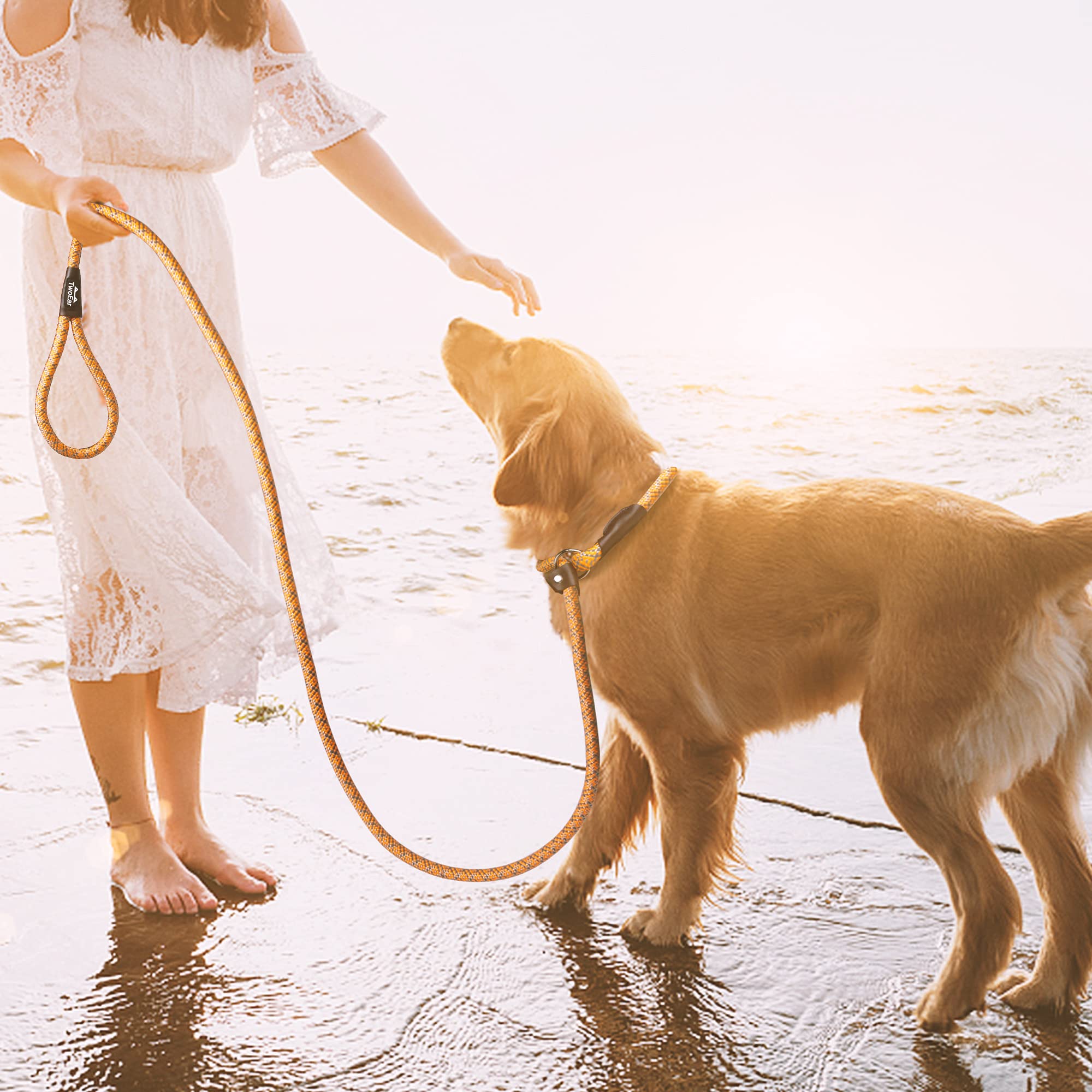Twoear Dog Leash Dog Slip Rope Leash 1/2' X 6Ft Dog Training Leash Heavy Duty Strong Slip Lead Highly Reflective Threads For Small Medium And Large Dogs(Orange)