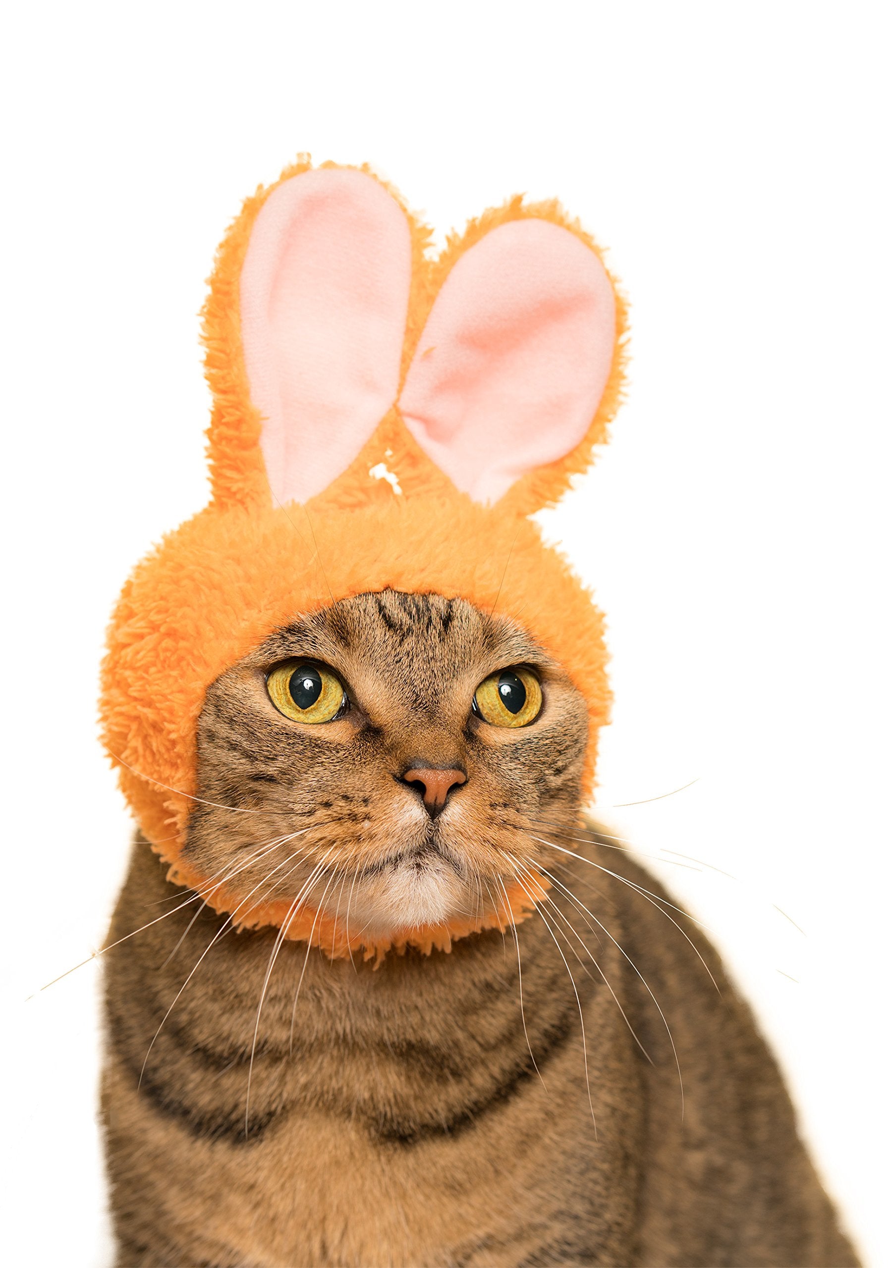 Kitan Club Cat Cap - Pet Hat Blind Box Includes 1 Of 5 Cute Styles - Soft, Comfortable - Authentic Japanese Kawaii Design - Anim