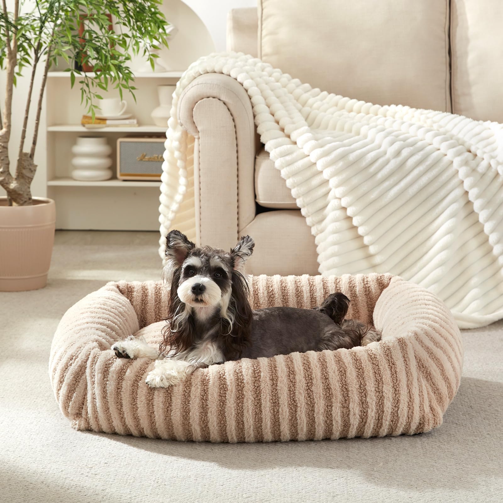 MIXJOY Dog Beds for Small Dogs Cats, Washable Dog Bed with Removable Cover, Soft Calming Cat Bed for Indoor Cats, Rectangle Pet 