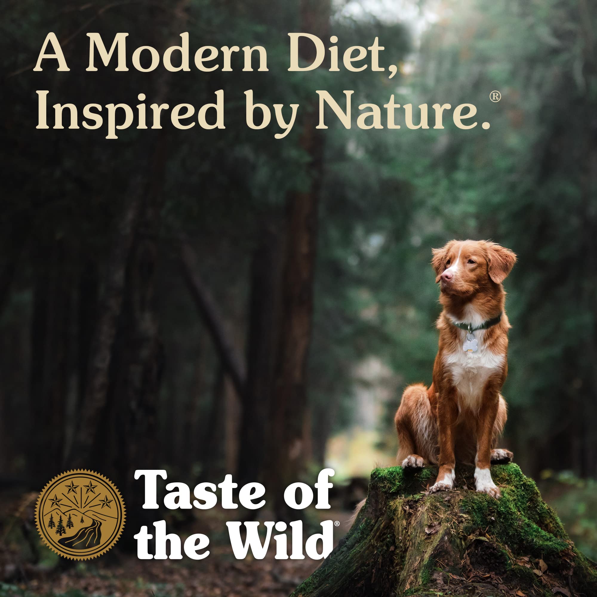 Taste of the Wild Appalachian Valley Small Breed Grain-Free Recipe with Roasted Venison Dry Adult Dog Food, Made with High Prote