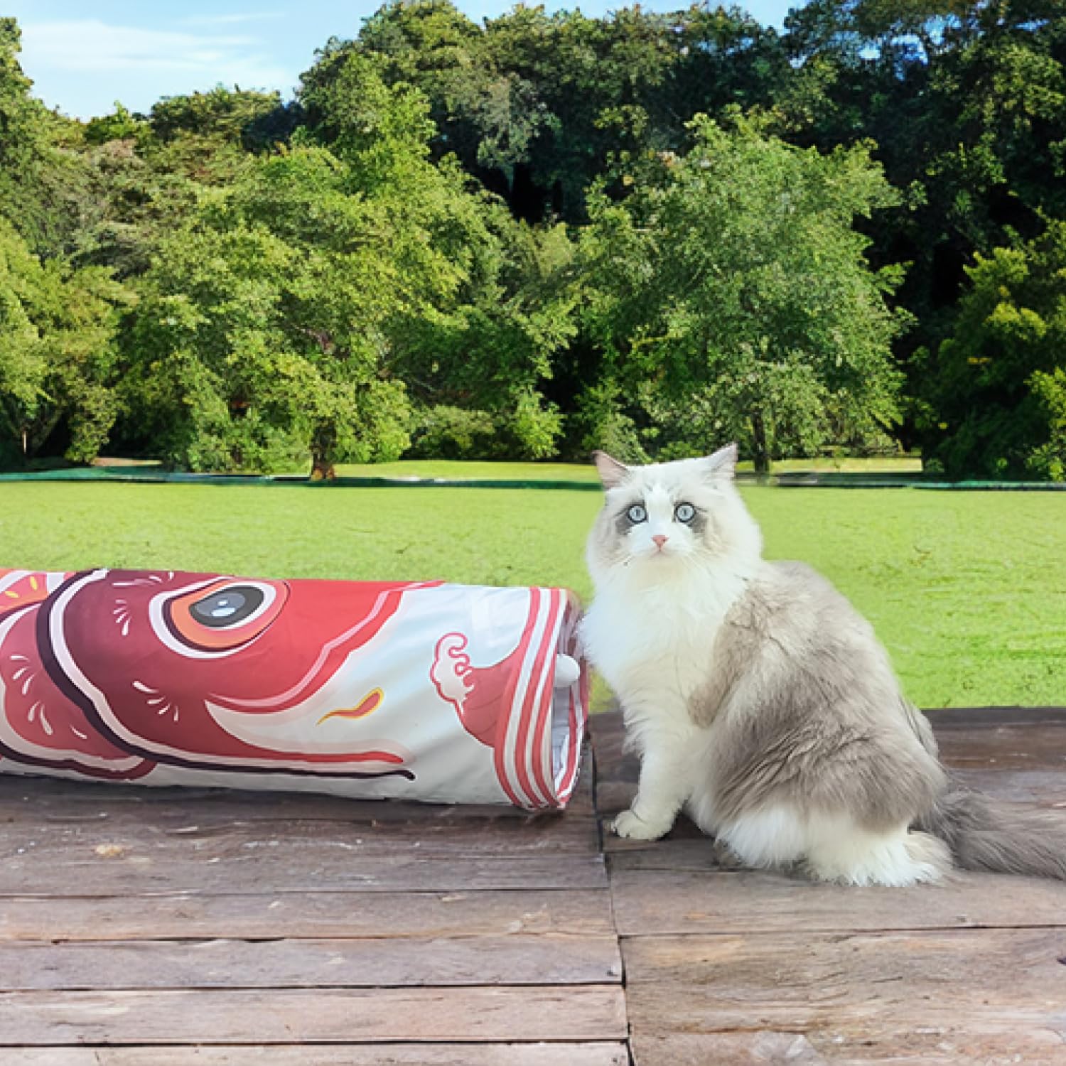 Dsumky Cat Tunnel - Collapsible Velvet Tube, 36'' L x 10'' Dia, Ocean Blue, Easy to Clean, Ideal for Kittens & Large Felines