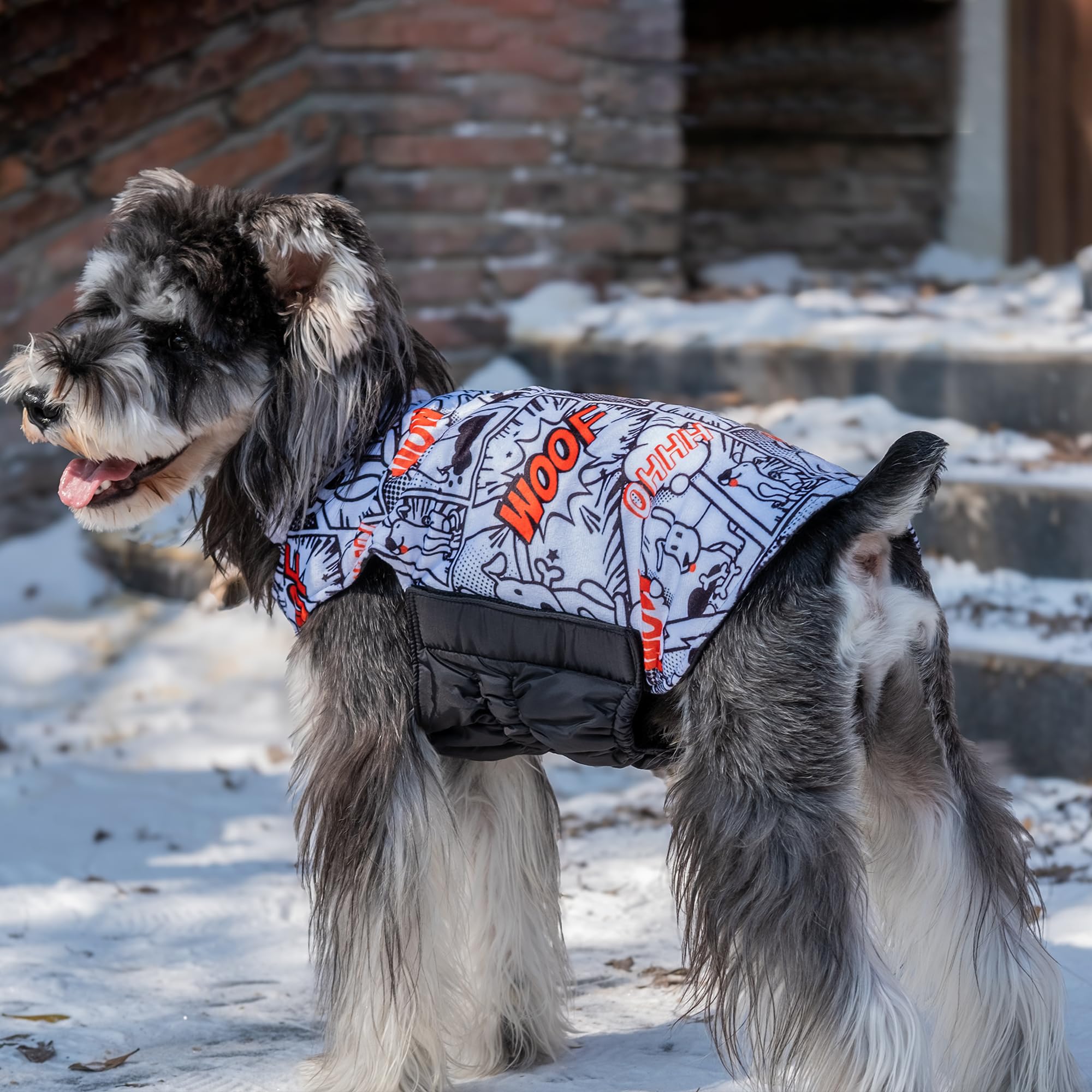 Cutebone Winter Dog Jacket - Reversible, Windproof, Waterproof, Thick Soft Coat With Leash Hole For Small To Large Dogs