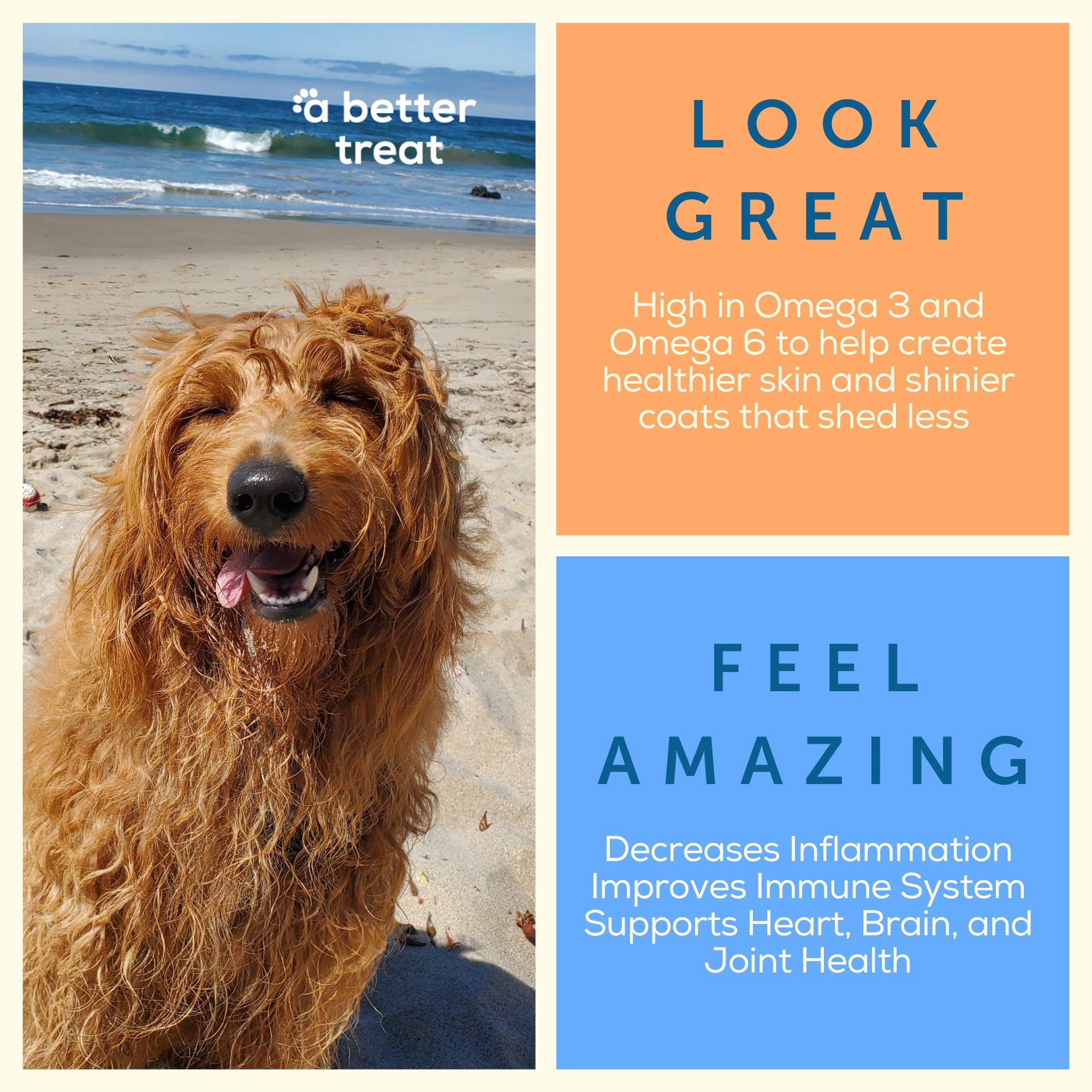 A Better Treat - Freeze Dried Salmon Dog Treats, Wild Caught, Single Ingredient | Natural High Value | Gluten Free, Grain Free,