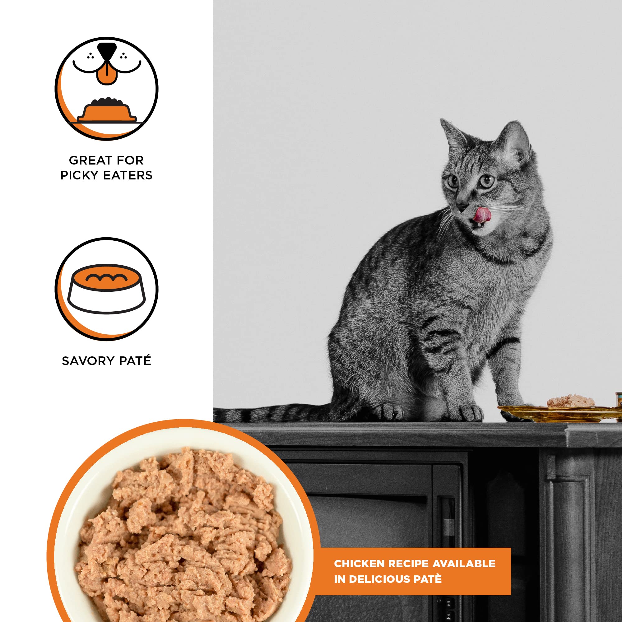 BIXBI Rawbble Chicken Pate Recipe Cans - Grain Free, Protein Rich Wet Cat Food - (5 Ounce Cans, Case of 24)