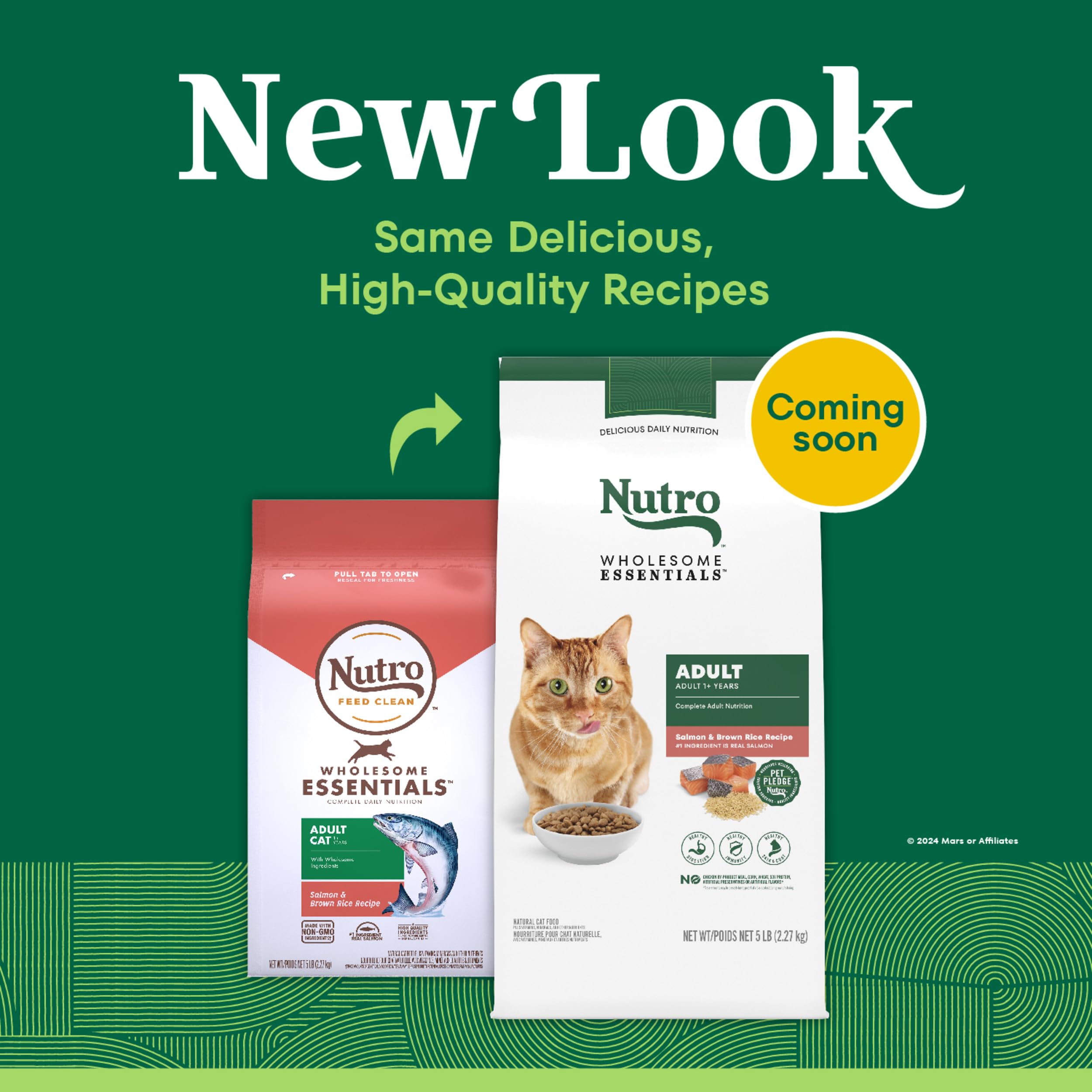 NUTRO WHOLESOME ESSENTIALS Natural Dry Cat Food, Adult Cat Salmon & Brown Rice Recipe Cat Kibble, 5 lb. Bag