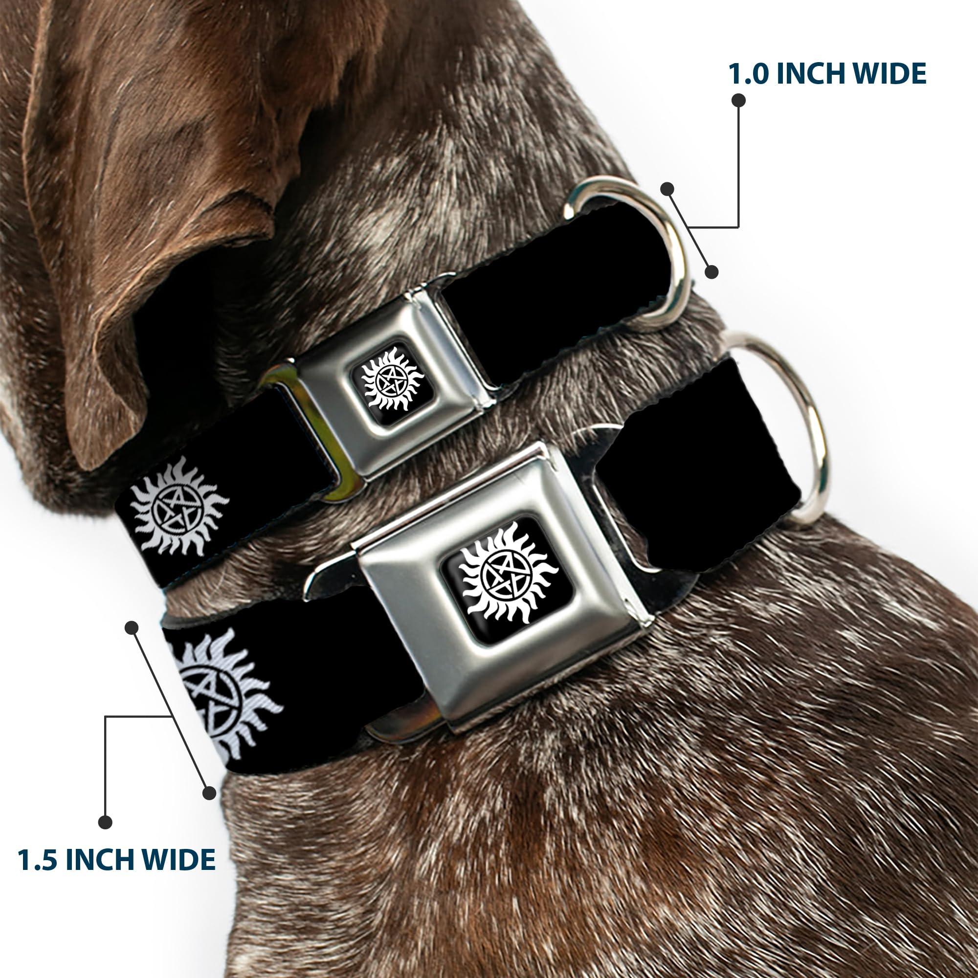 Buckle-Down Dog Collar Seatbelt Buckle Winchester Pentagram Repeat Black White 16 To 23 Inches 1.5 Inch Wide