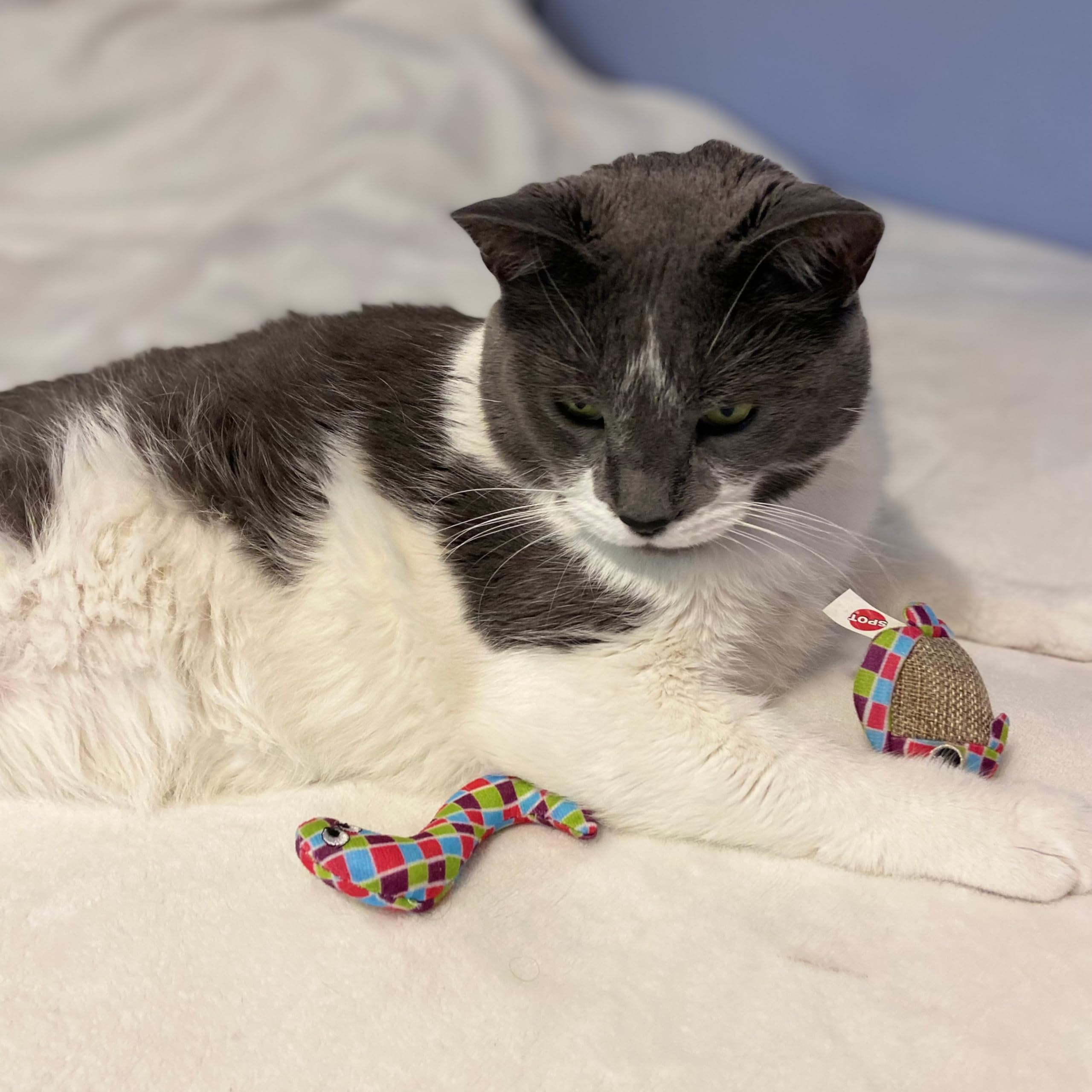 Spot Catch N' Release Cat Toy With Irresistible Texture And Catnip, Indoor Cat Essentials, For Cats And Kittens, 2 Assorted Figures