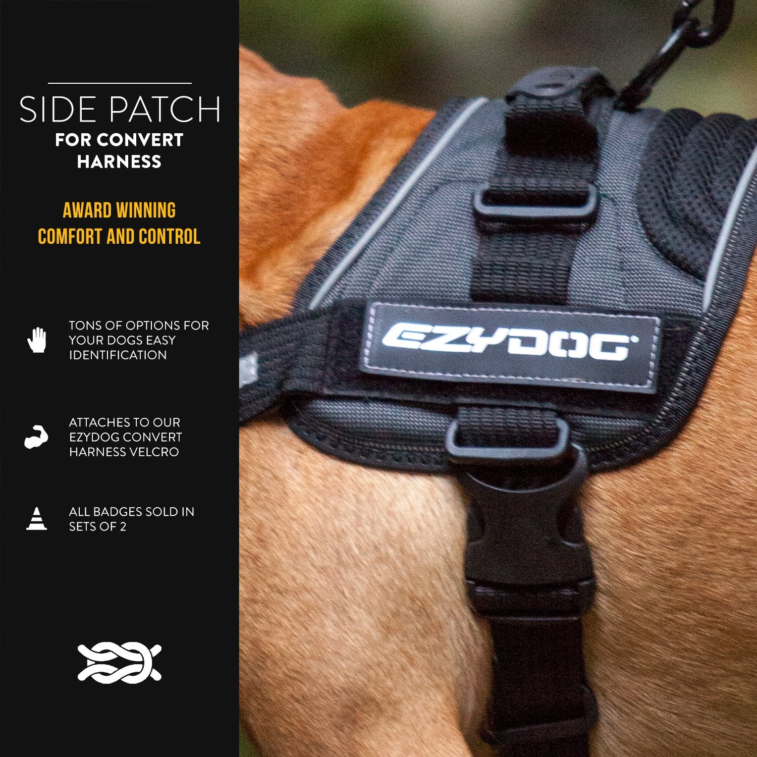 EzyDog Side Badge - Clearly Identifies Your Dog When Wearing The Convert Dog Harness - Set of Two Badges (in Training, Large)