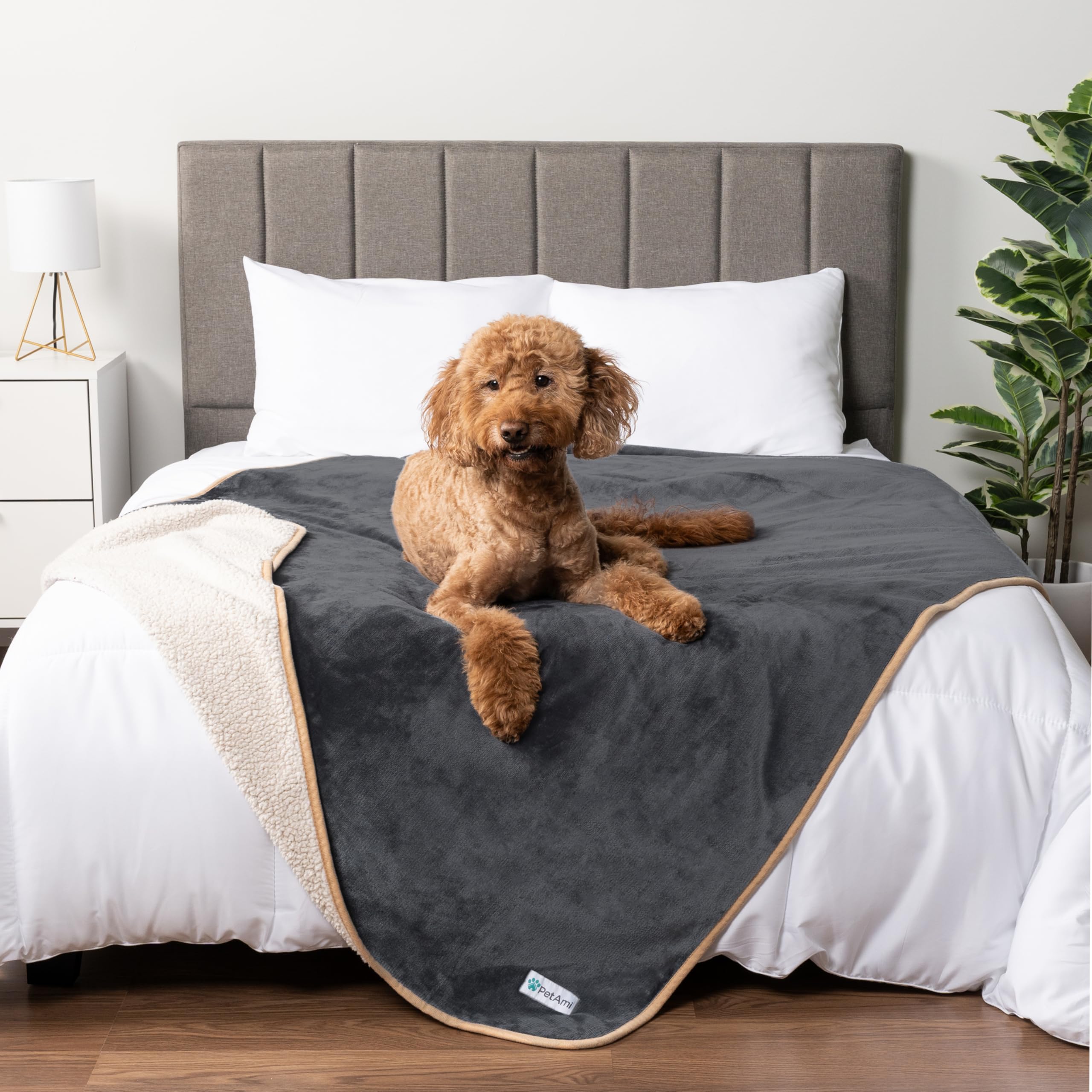 Petami Waterproof Dog Blanket For Medium Large Dogs, Pee Proof Pet Blanket For Bed Couch, Reversible Water Proof Blanket For Puppy Indoor Cat, Soft Dog Pee Crate Cover Washable, 60X80 Gray/Beige