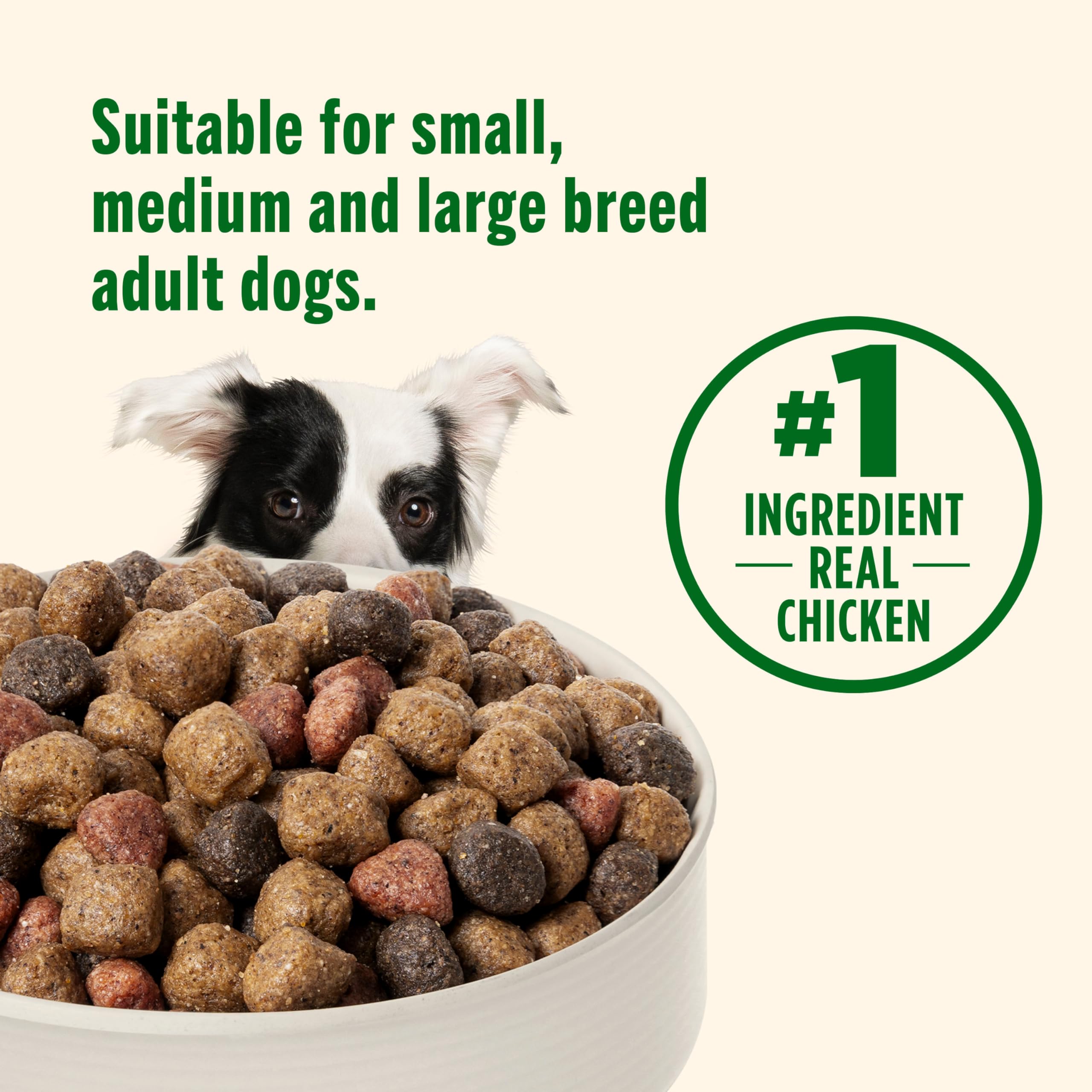 Nutrish Real Chicken & Veggies Recipe Whole Health Blend Dry Dog Food, 28 lb. Bag, Packaging May Vary (Rachael Ray)