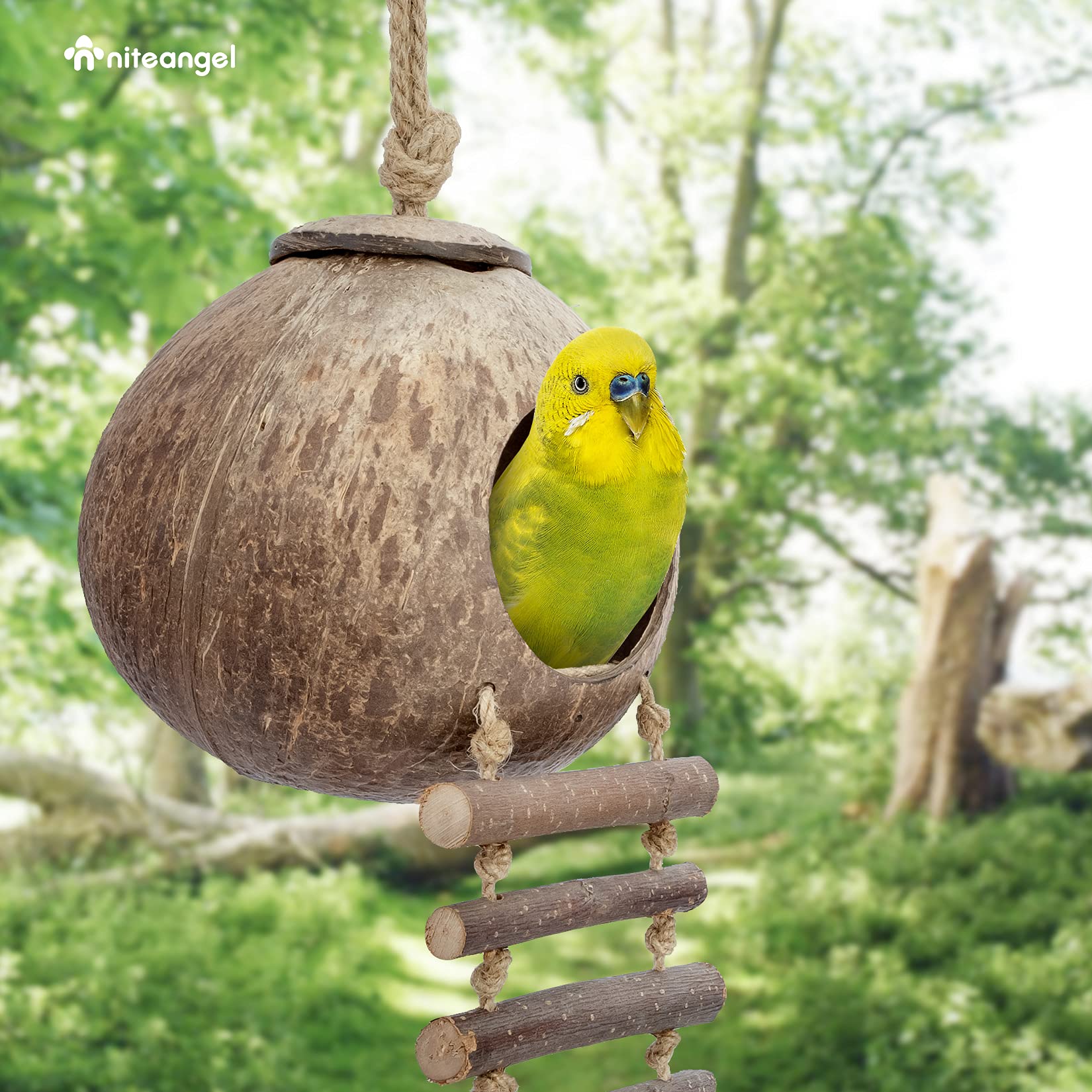 Niteangel Natural Coconut Hamster Hideaway With Ladder, Bird And Small Animal Toy (House With Ladder, Smooth Surface)