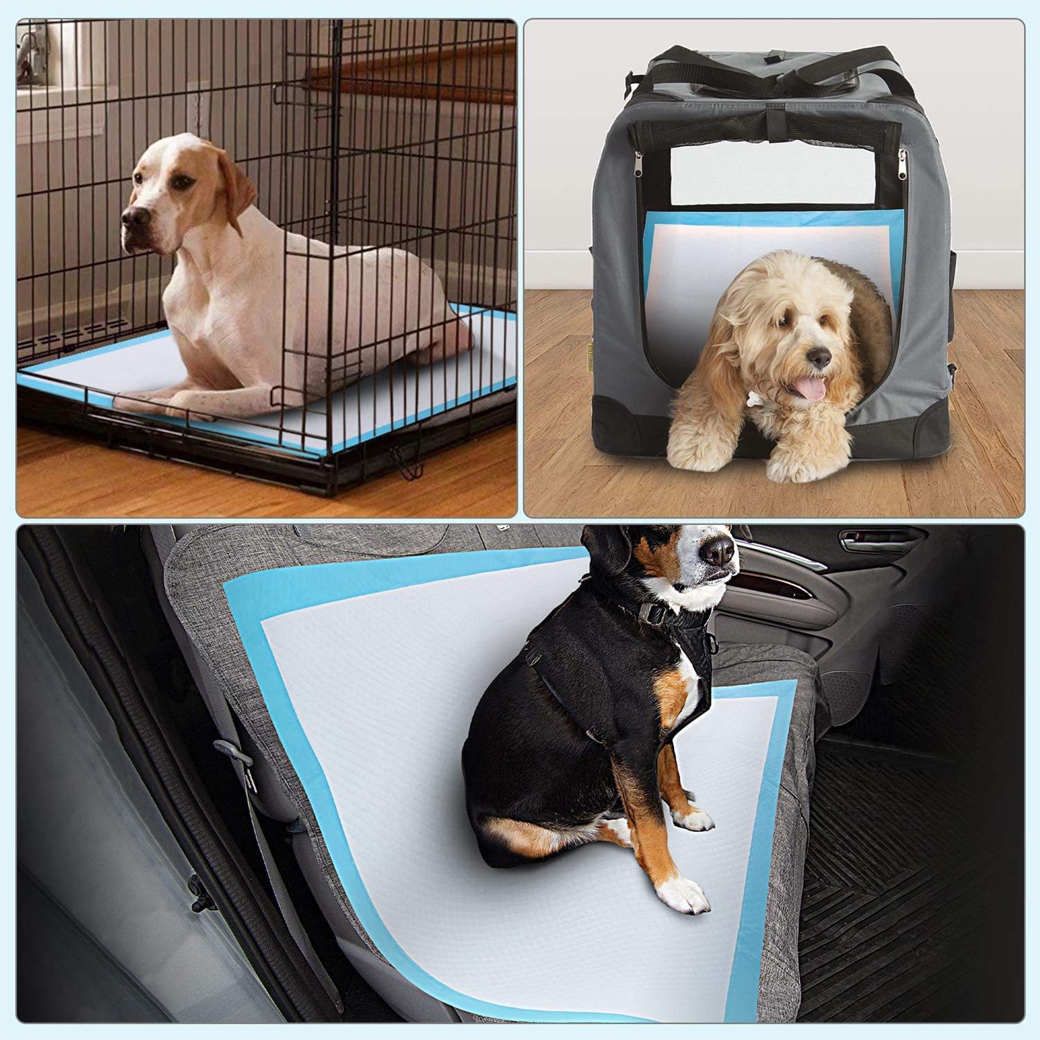 Dog and Puppy Pee Pads 50-Count Disposable Pet Pad 28x34 inch X-Large Waterproof Pet Training Pad Dog Pee Pads Maximum Absorptio