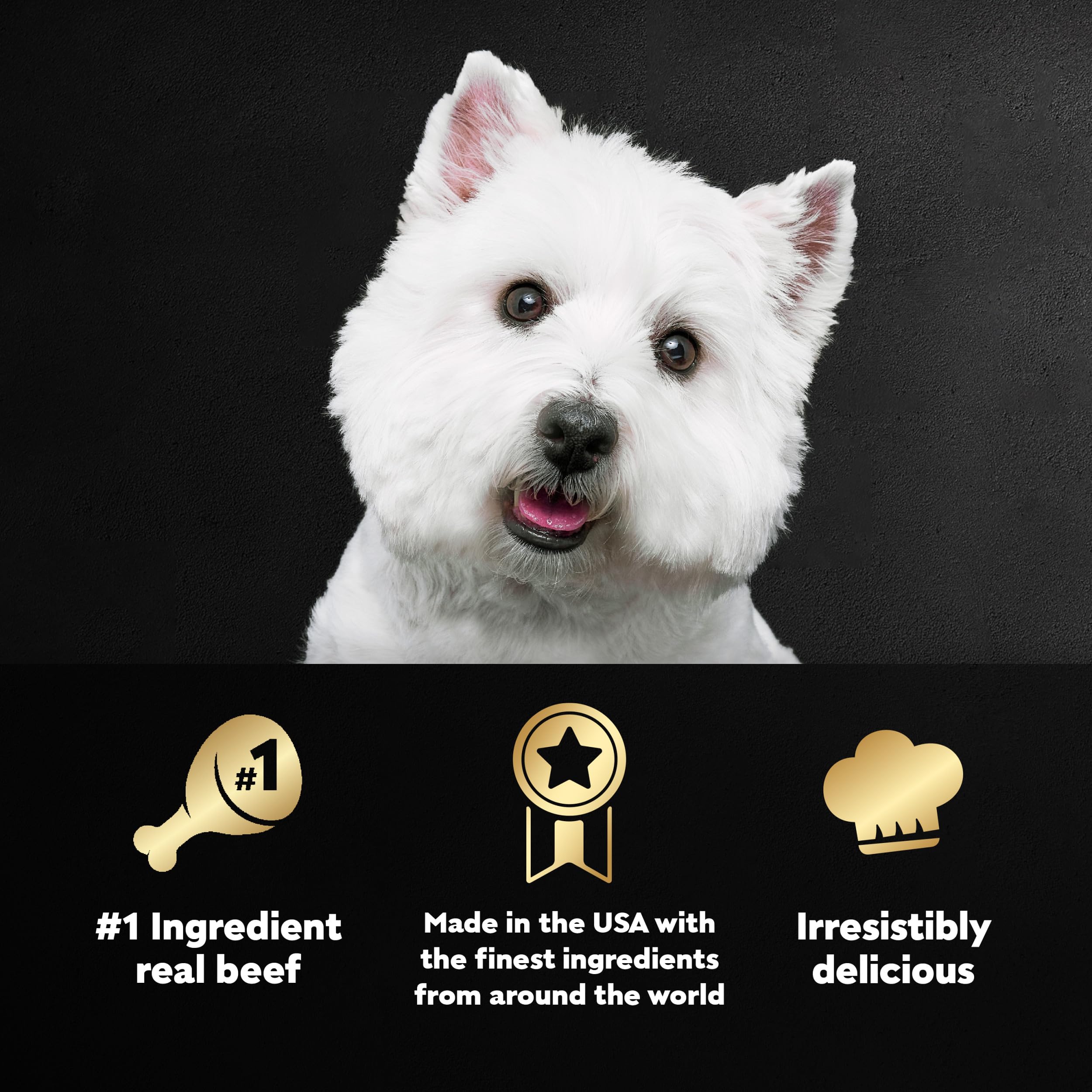 Cesar Adult Wet Dog Food Variety Pack