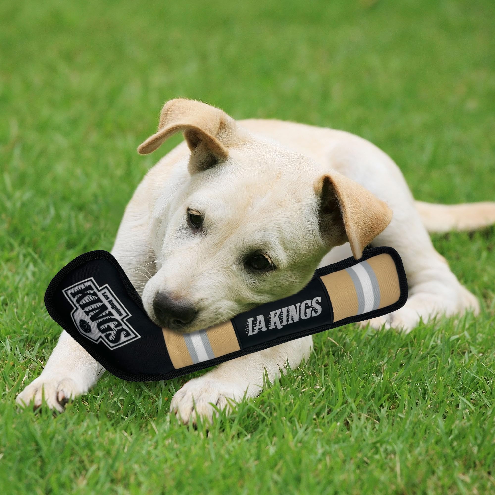 Pets First Nhl Los Angeles Kings Stick Toy For Dogs & Cats. Play Hockey With Your Pet With This Licensed Dog Tough Toy Reward!