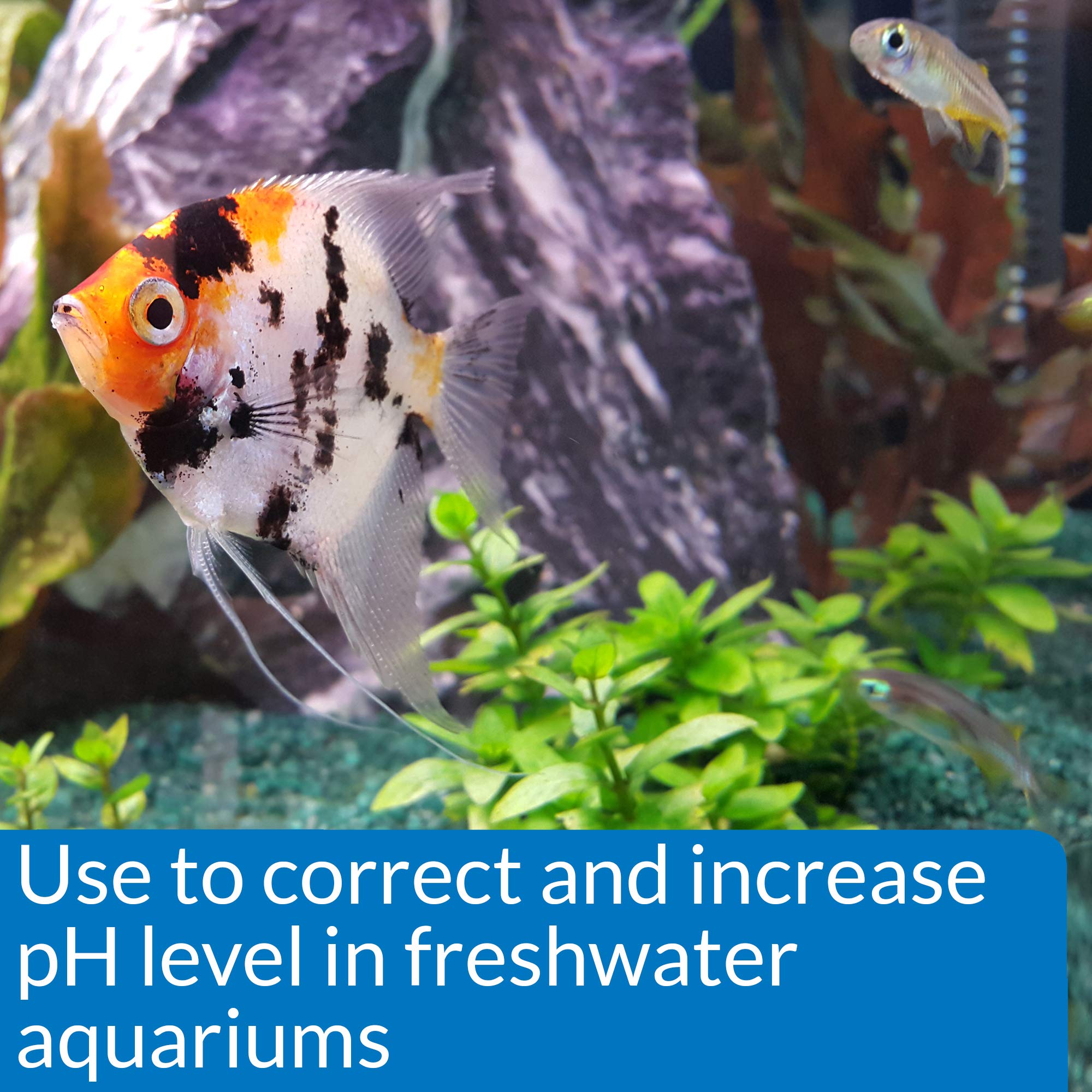 API pH Up Aquarium pH Adjuster for Freshwater Aquariums 1.25 oz