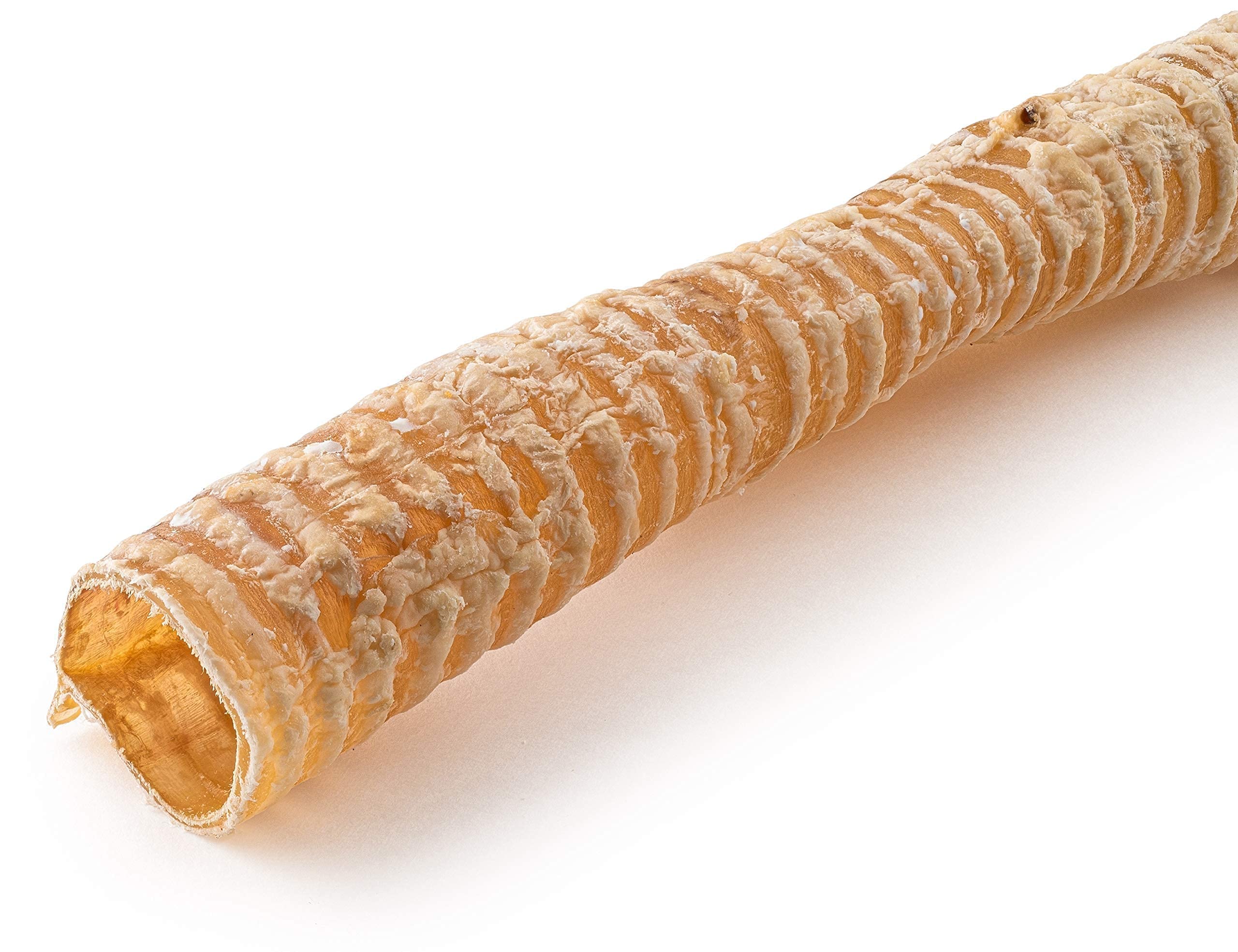 Jack&Pup 6 Inch Trachea Dog Chew | Single Ingredient Beef Trachea Treats for Dogs | Naturally Rich in Glucosamine and Chondroiti