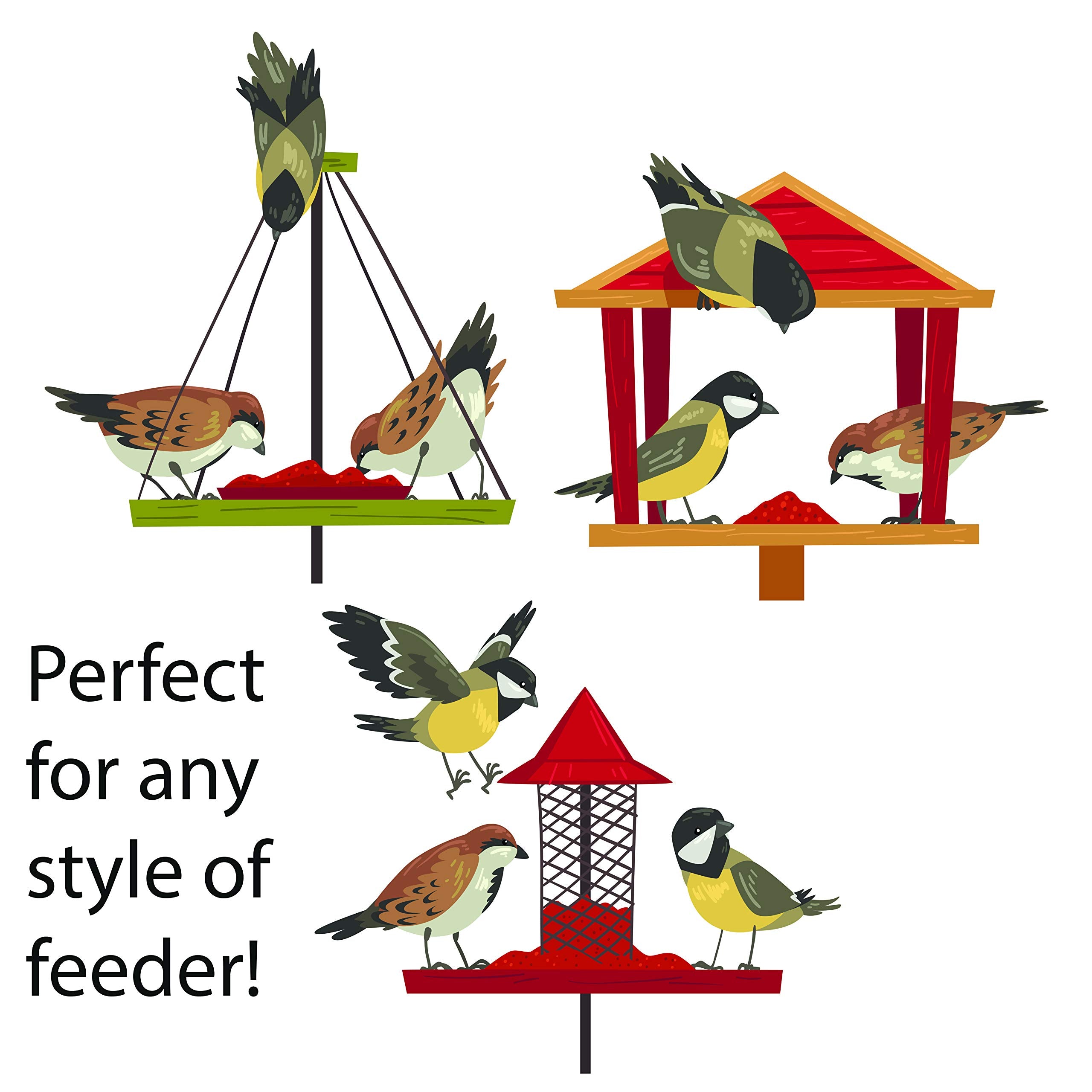 FAMILY FARM AND FEED | Four Seasons | in Shell Peanuts | Wild Bird Food | Backyard Songbird | 2 Pounds