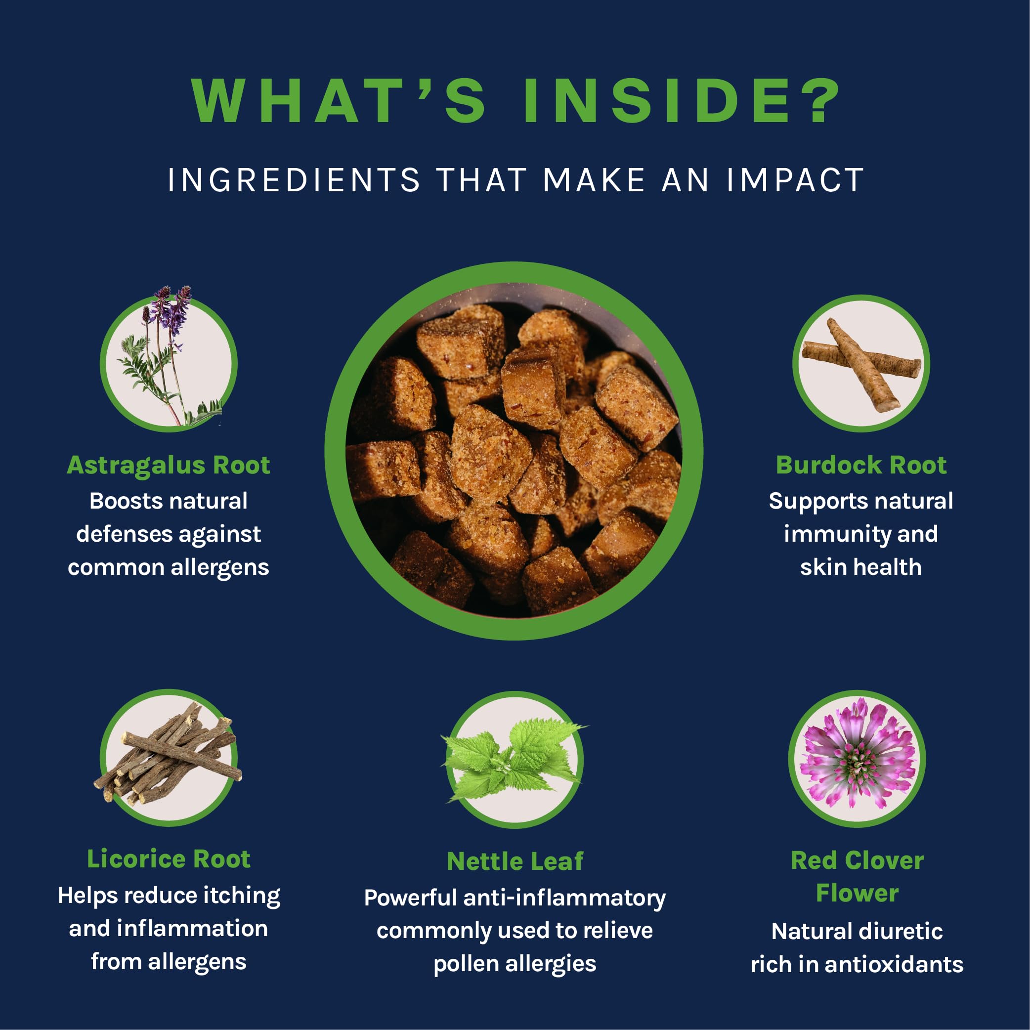 Good Trouble Pets Dog Allergy Support Soft Chew Supplements: Allergy Relief for Itching and Licking - Seasonal Allergy Relief fo