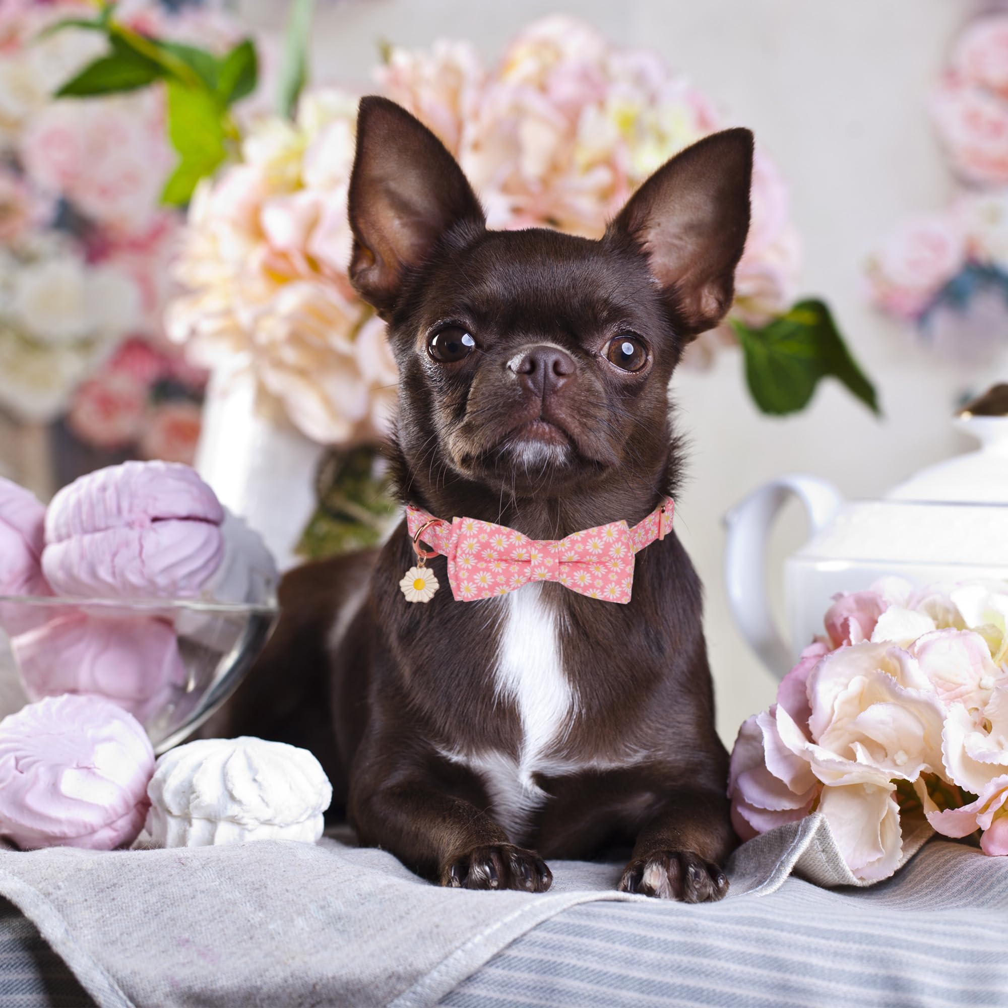 Adoggygo Floral Dog Collar With Bowtie, White Daisy Dog Flower Collar With Metal Buckle, Adjustable Pink Dog Floral Collars For