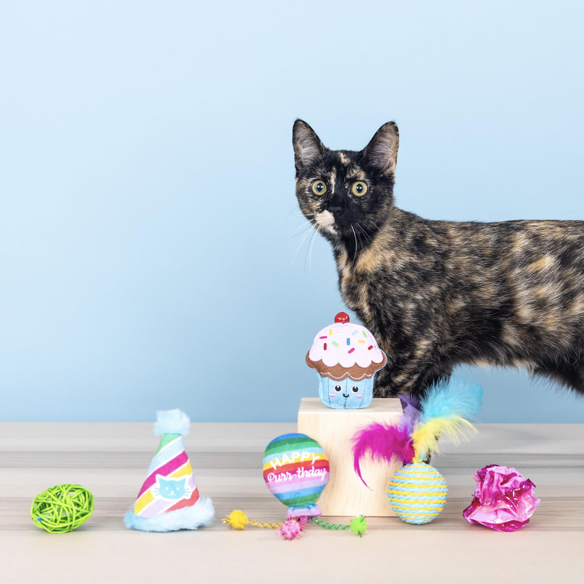 Fringe Studio Happy Purr-THDAY, Set of 6, Multipack Cat Toy Set, Pet Shop Collection (610007)