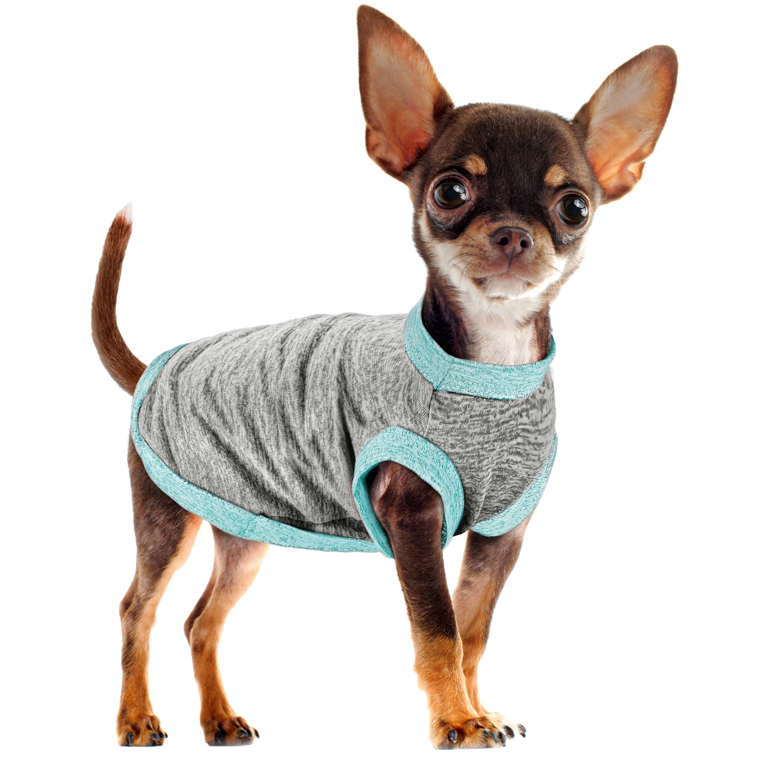 Chic Ion Polyester Dog Vest: Adorable Fashion Dog Apparel For Small, Medium, And Large Breeds, Moisture-Wicking, Soft, Anti-Stat