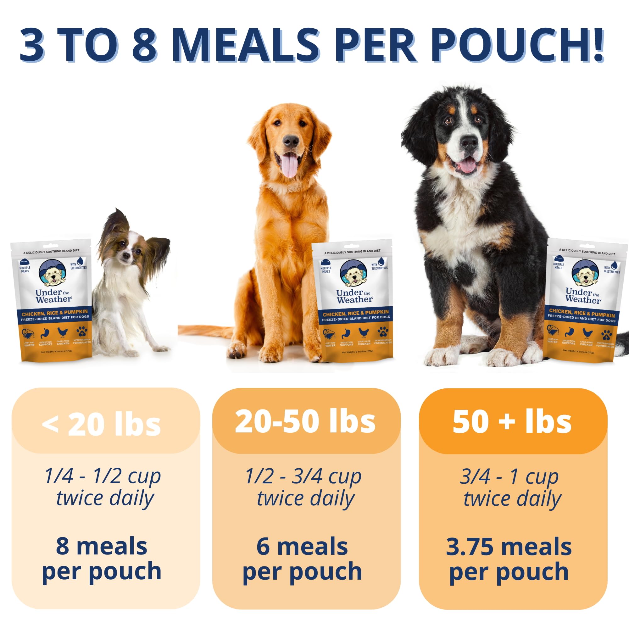 Under the Weather Bland Diet for Dogs | Easy to Digest for Sick Dogs |Always Be Ready | Contains Electrolytes - All Natural Free