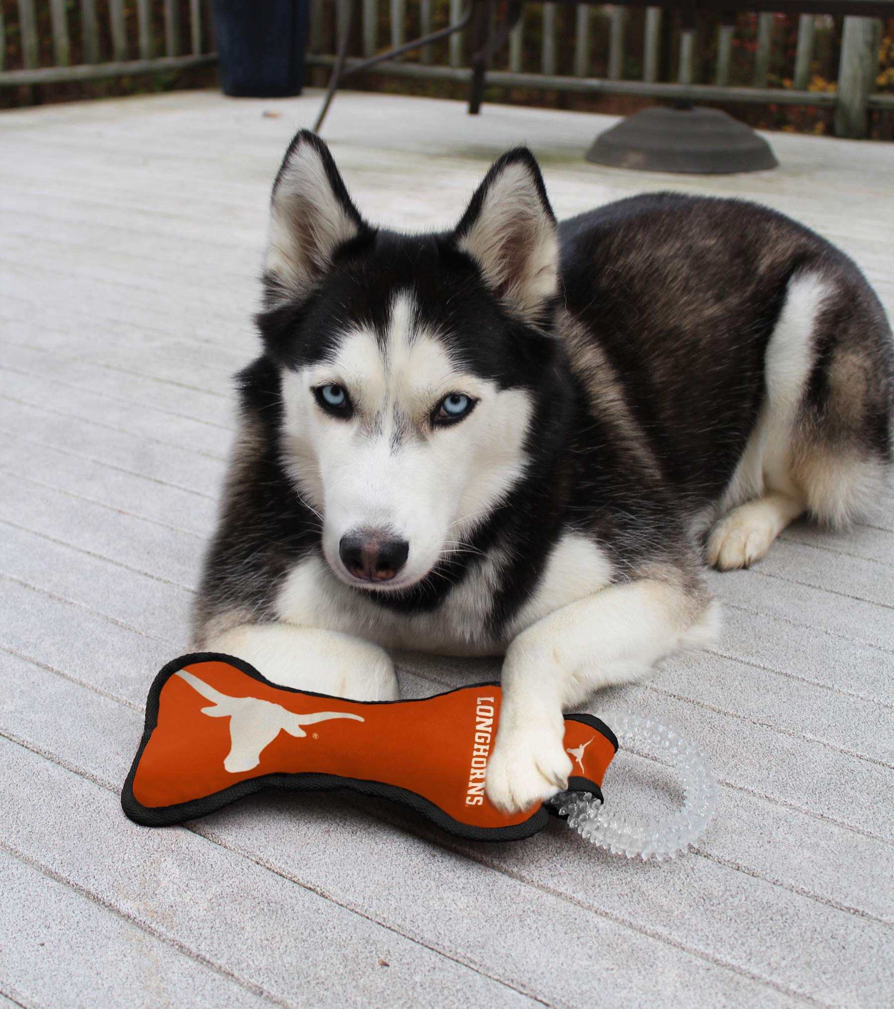 Pets First Ncaa Texas Longhorns Dental Dog Tug Toy With Squeaker. Tough Pet Toy For Healthy Fun, Teething & Cleaning Pets Teeth