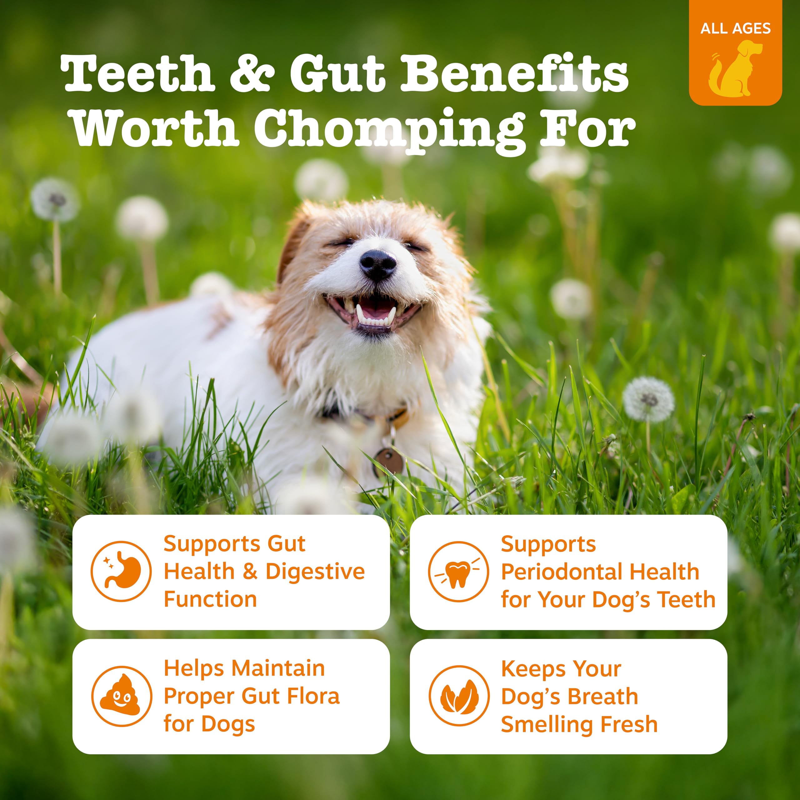 Zesty Paws OraStix Probiotic Dog Chews - Hemp Seed & Curcumin - 25oz