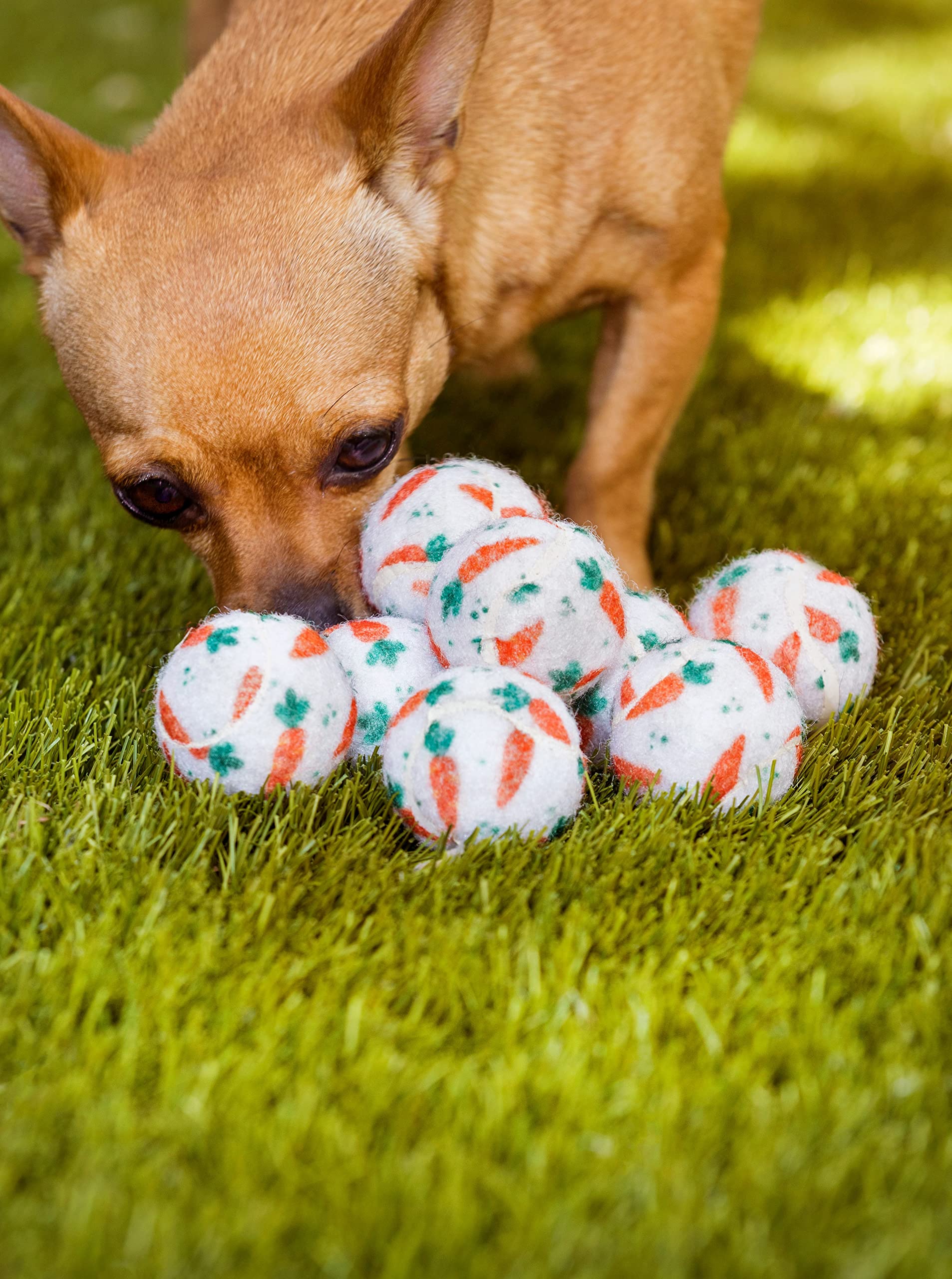 Midlee Mini Easter Carrot Dog Tennis Balls