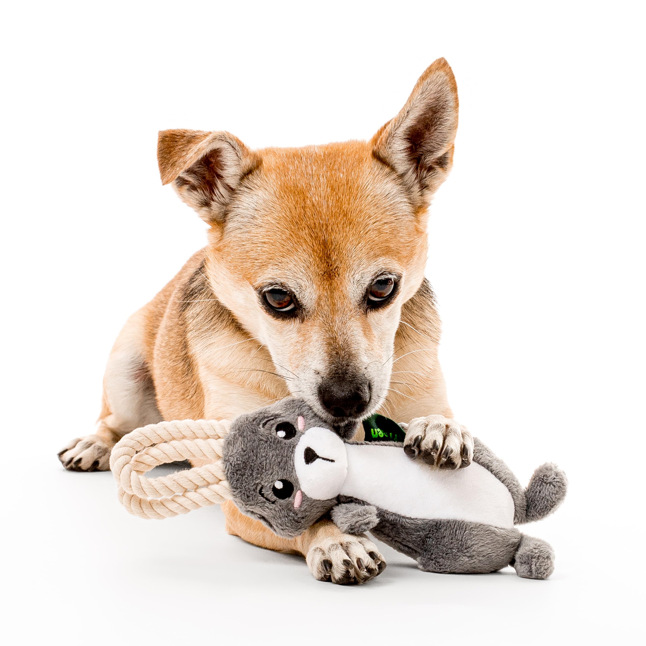 Grrreen Arctic Collection Dog Toys | Small Sized Artie The Arctic Hare | Cute, Durable, & Sustainable Plush Chew Toys For Dogs U