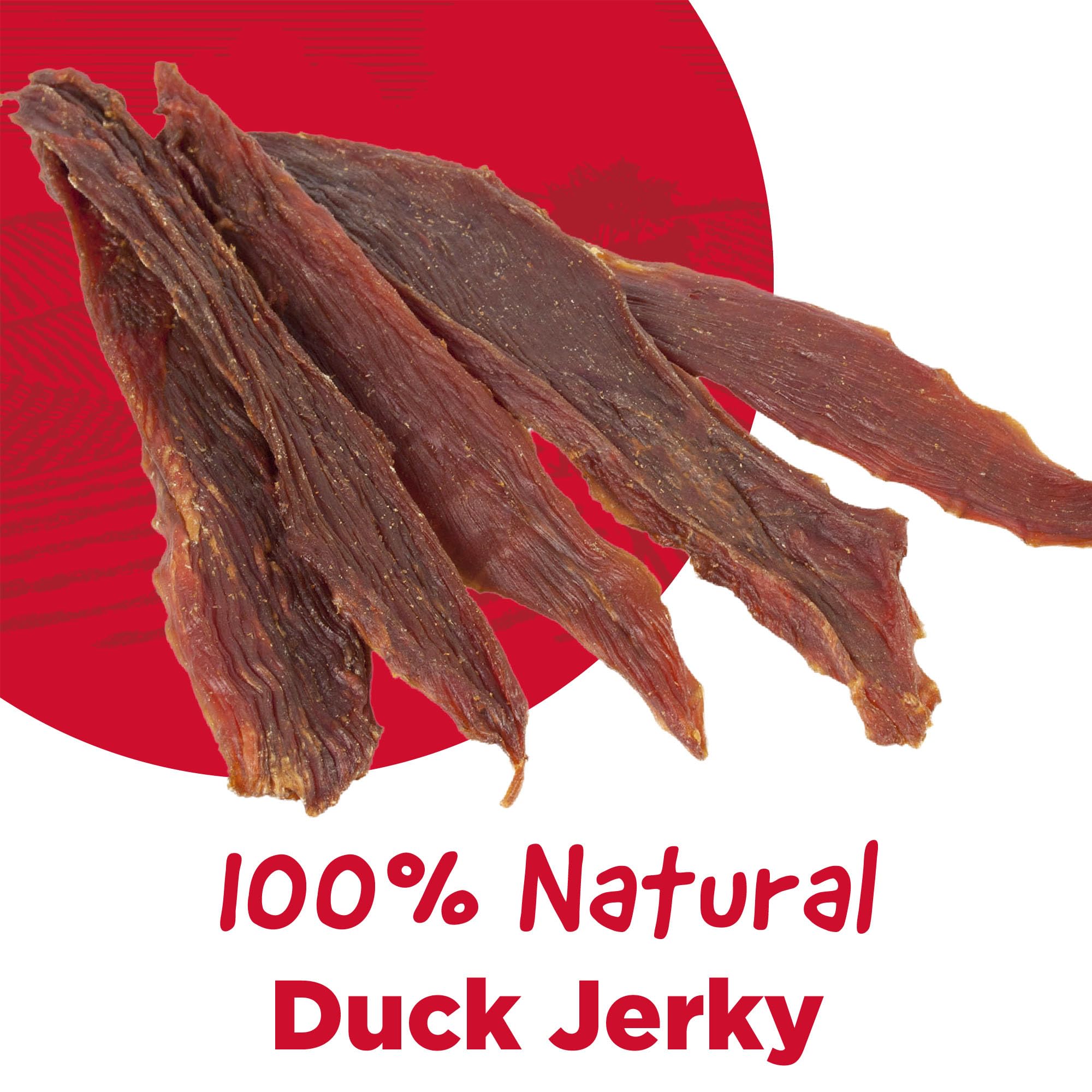 Country Kitchen Duck Jerky Dog Treats, High Protein, Low Fat, 16 oz, Made with Real Duck