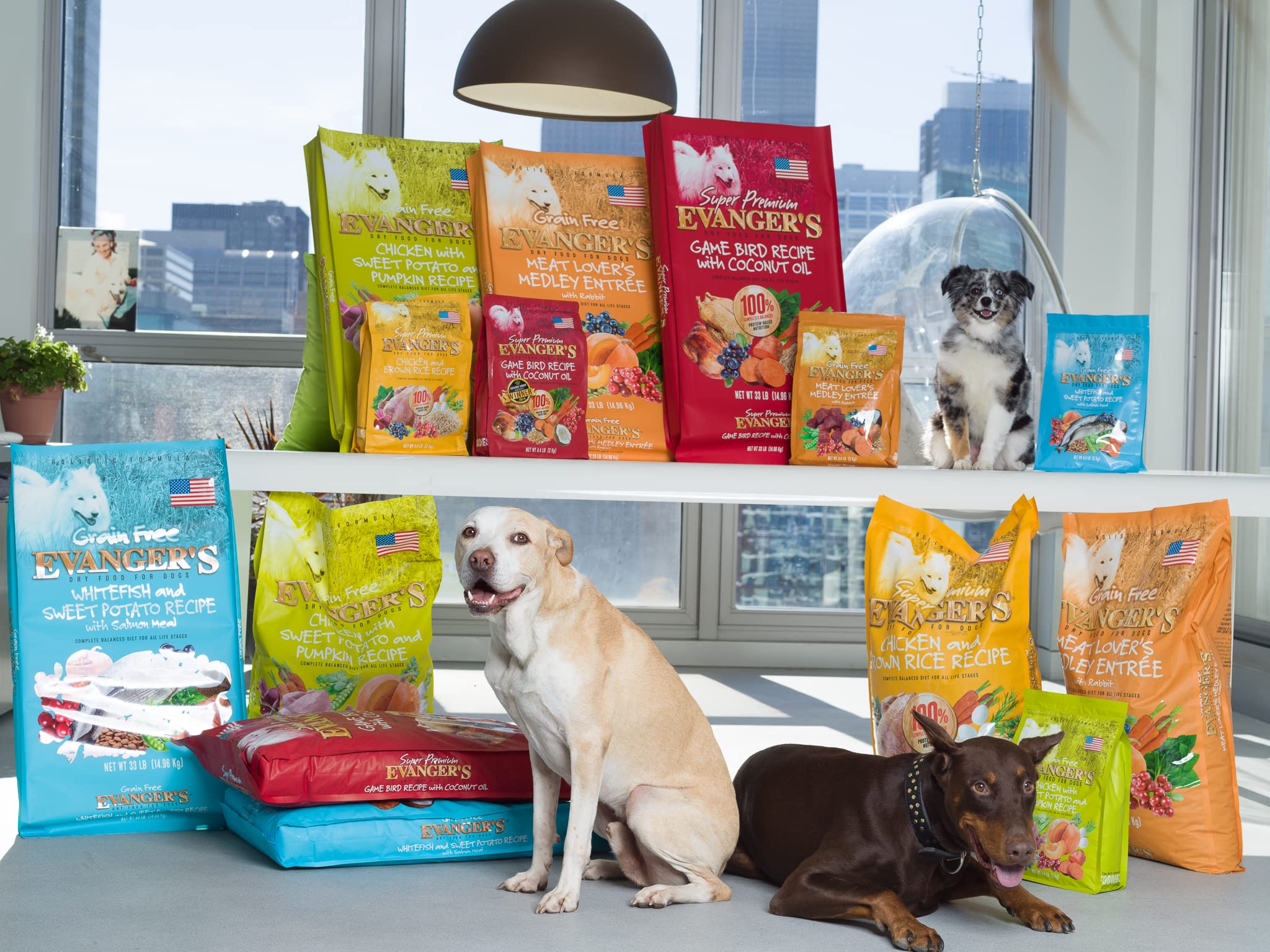 Evangers Grain-Free Whitefish & Sweet Potato with Salmon and Buffalo Meal Dry Dog Food, 4.4 lb Bag